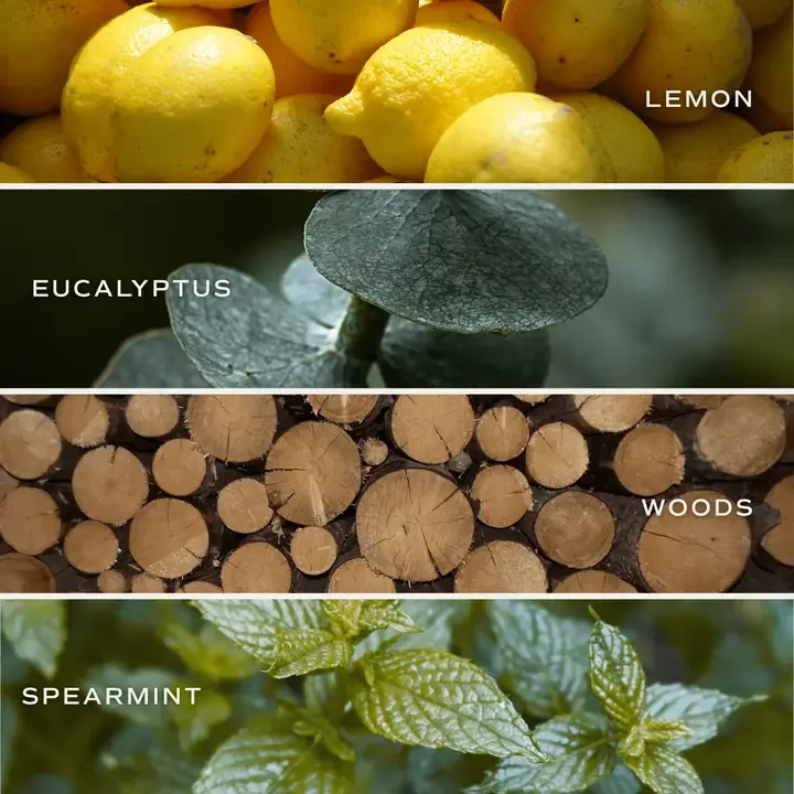 stress candle 3.webp