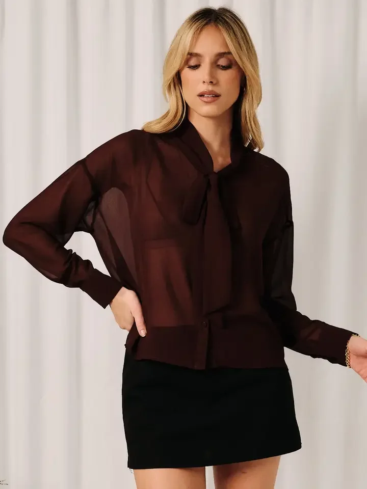 Sheer Scarf Neck Button Down Blouse Wine