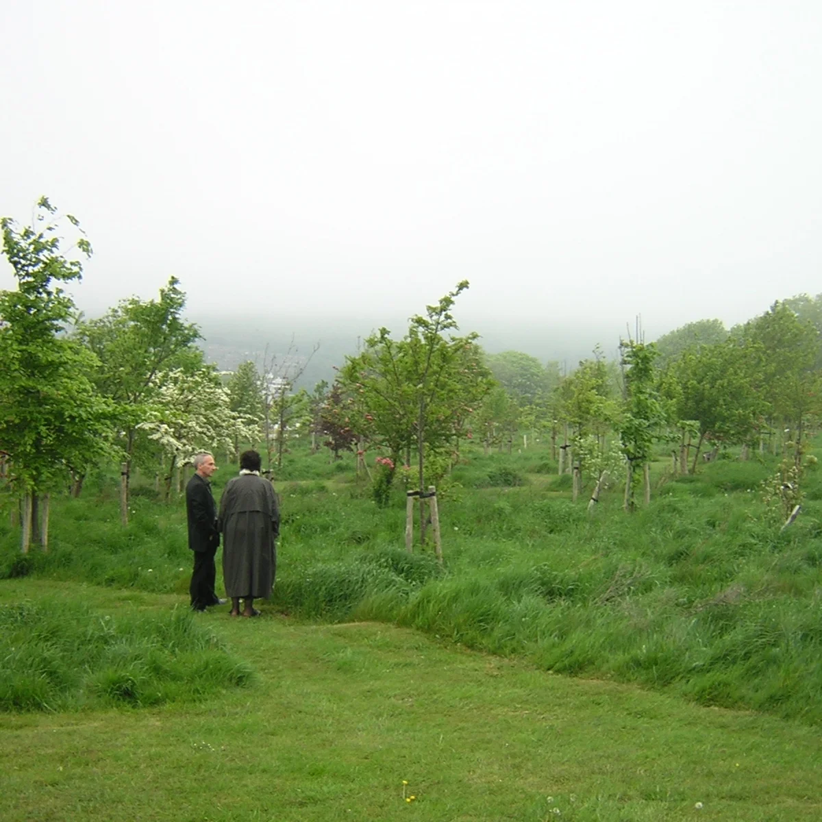 National Funeral Directors Association: Green funerals and Burials
