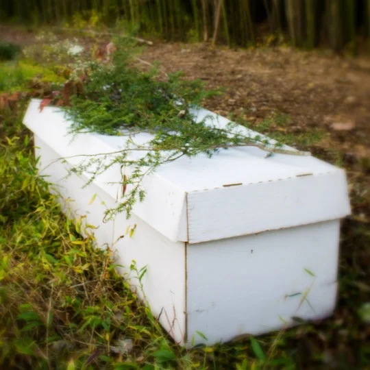 The New Wave of Simple, Inexpensive Funerals