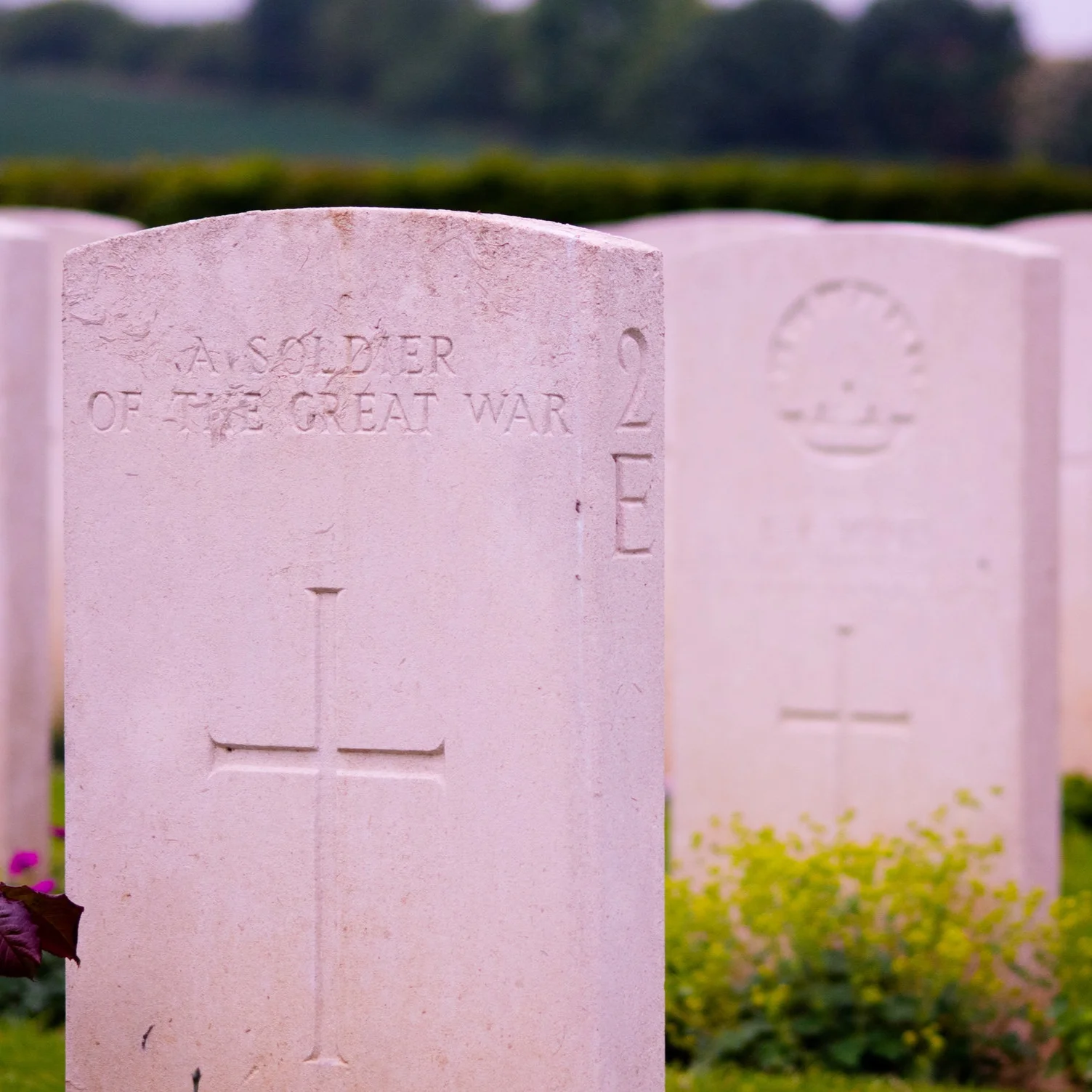 The Basics of Buying a Grave Plot
