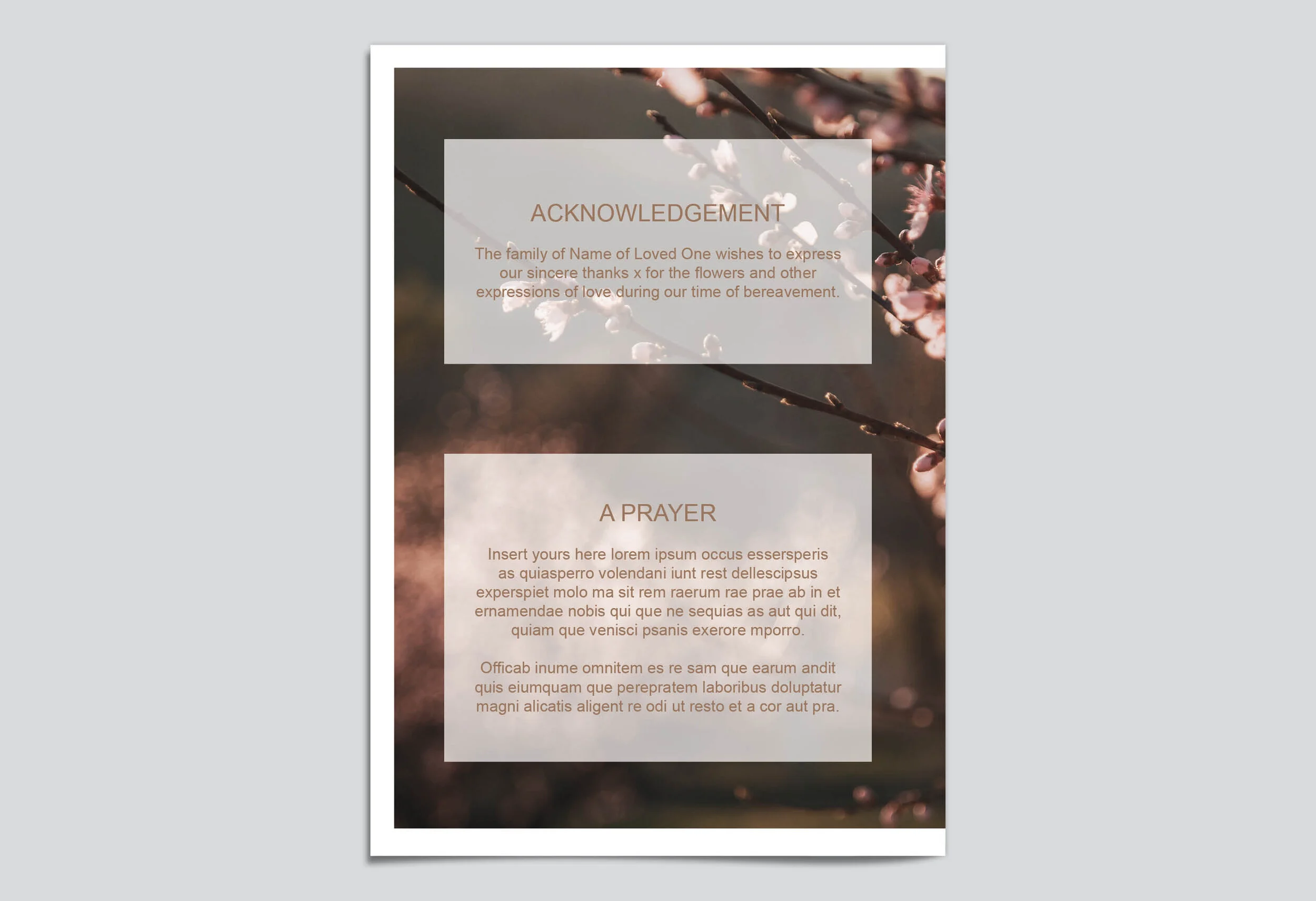 MWL Funeral Program_Calm Floral_Mockup_Back_2020 Programs.jpg