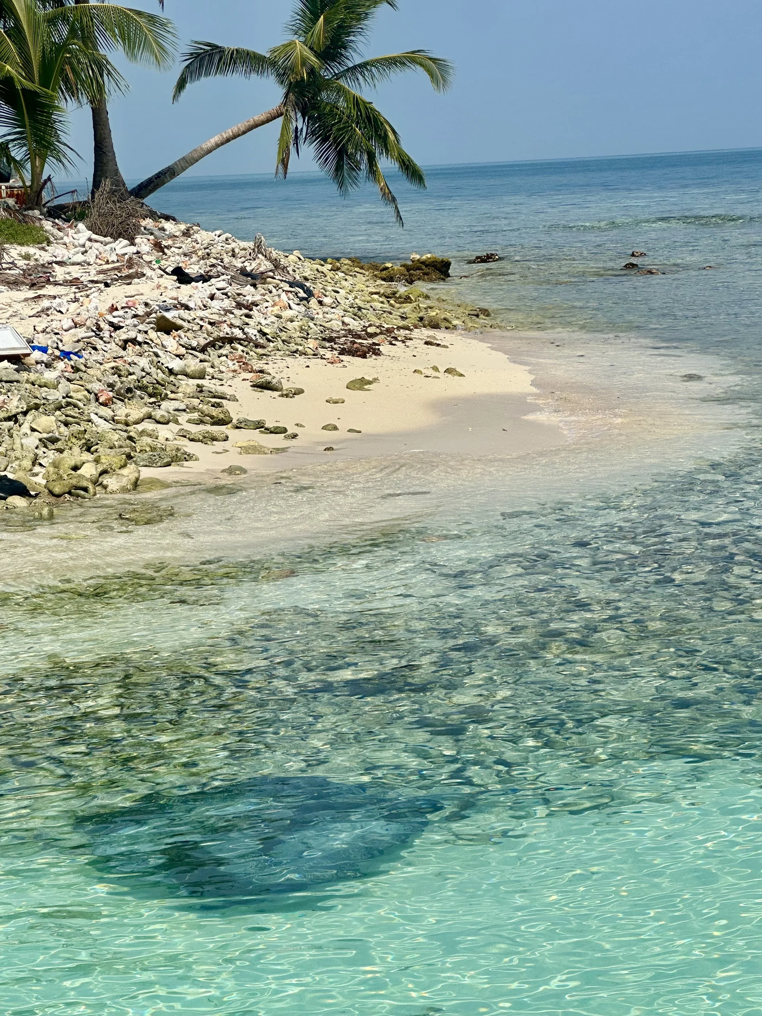 Luxury Spring Break for Families: Our Travel Advisors’ Personal Adventures