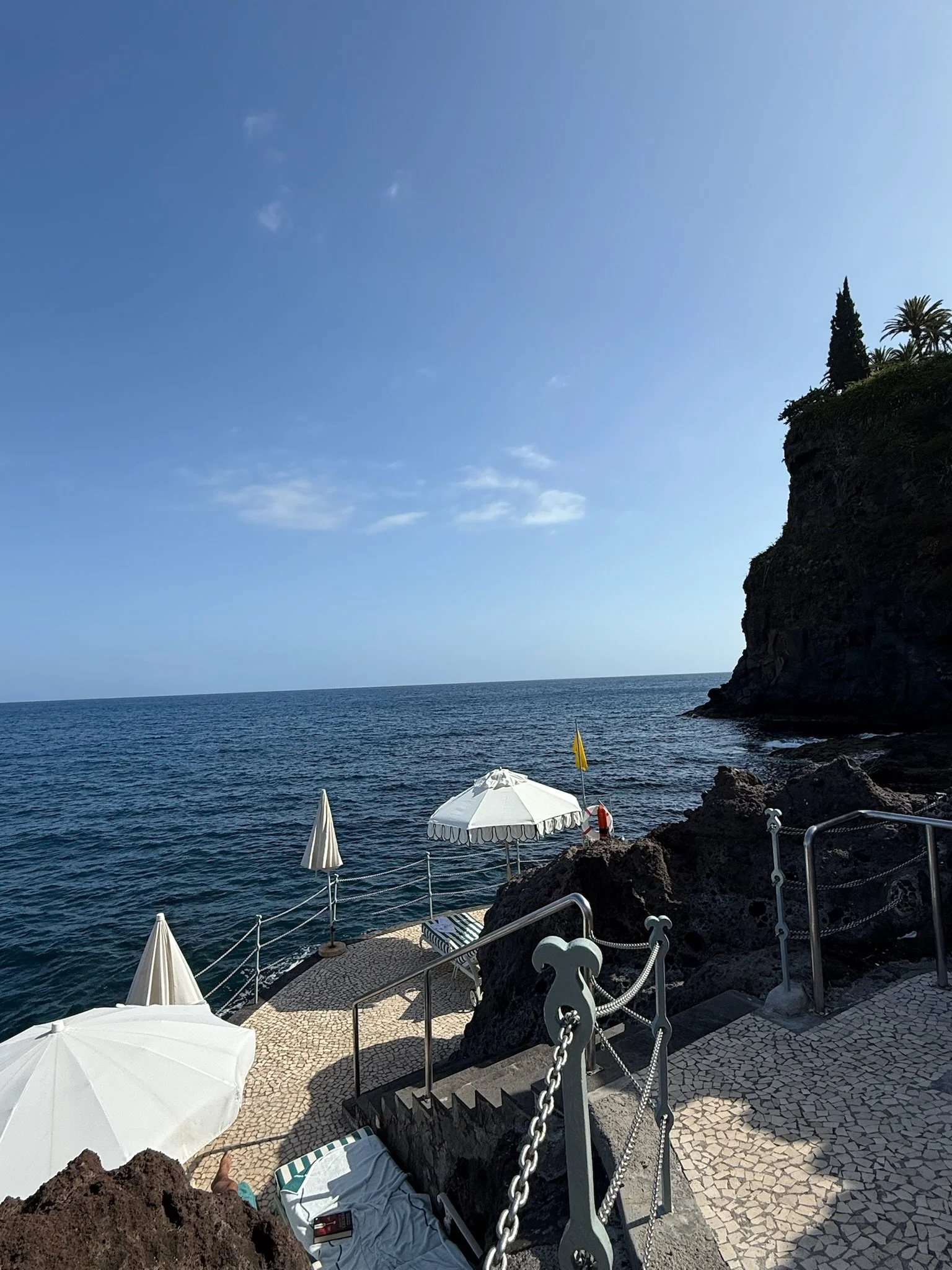 IMG_7602.jpeg