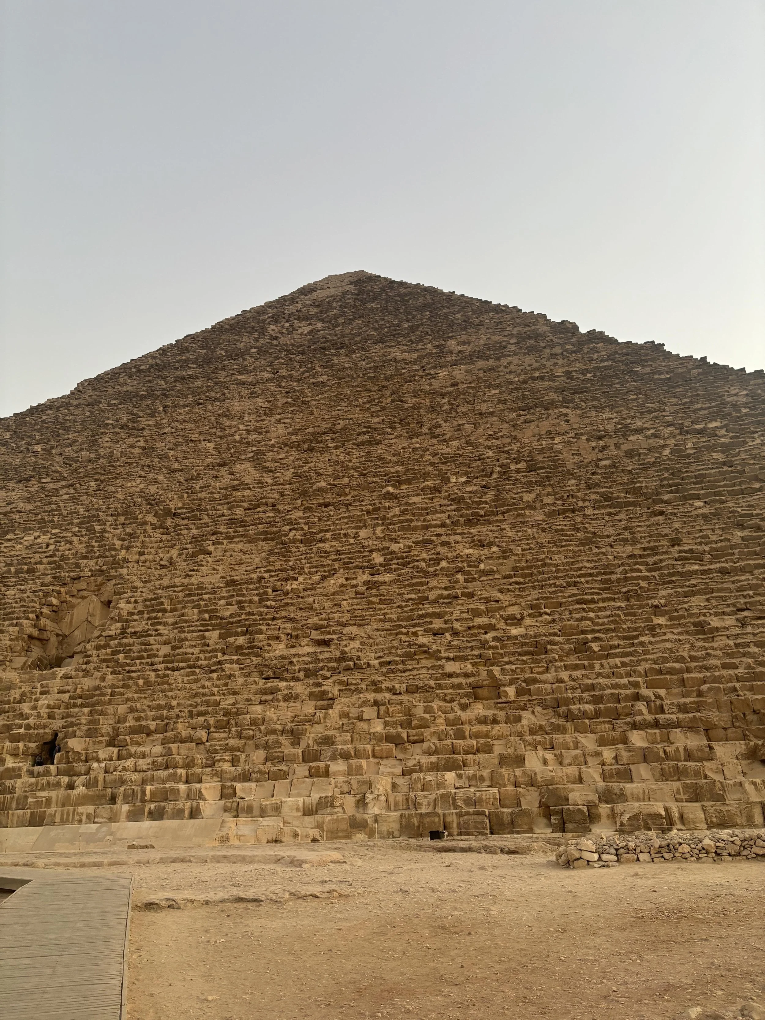 IMG_7463.jpg
