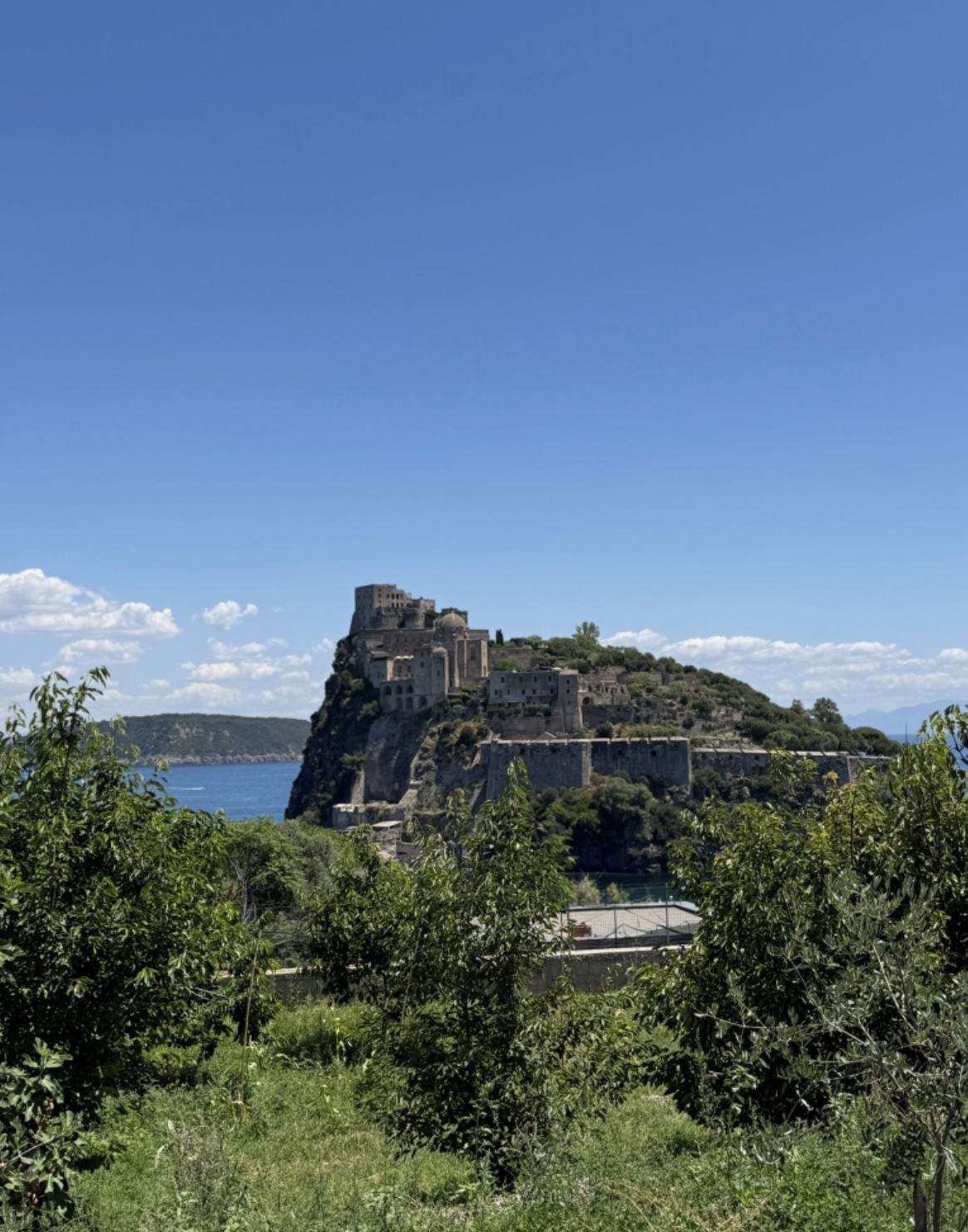 Screenshot 2026-04-01 at 12.19.05 PM.png