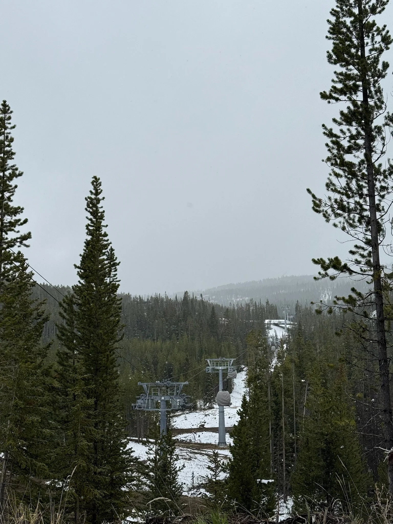 IMG_8519.jpeg