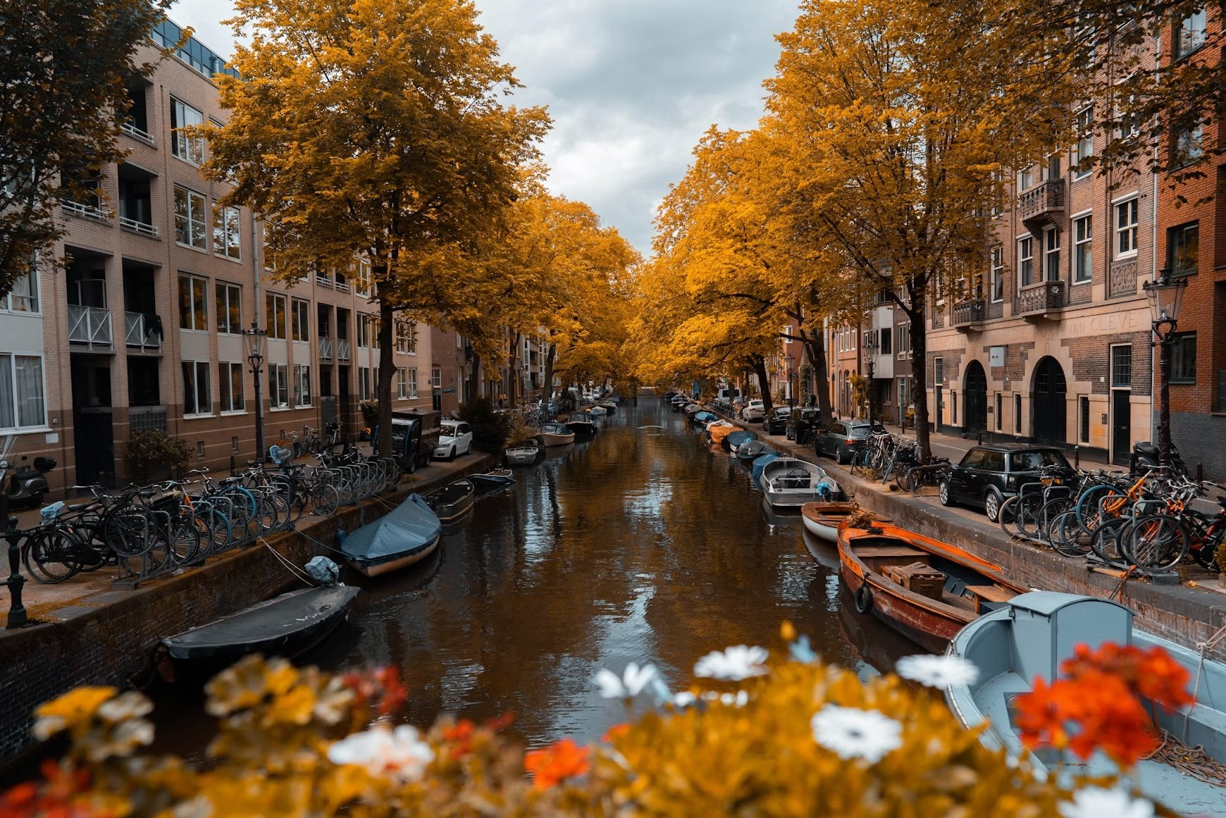 AMS in the fall.jpeg