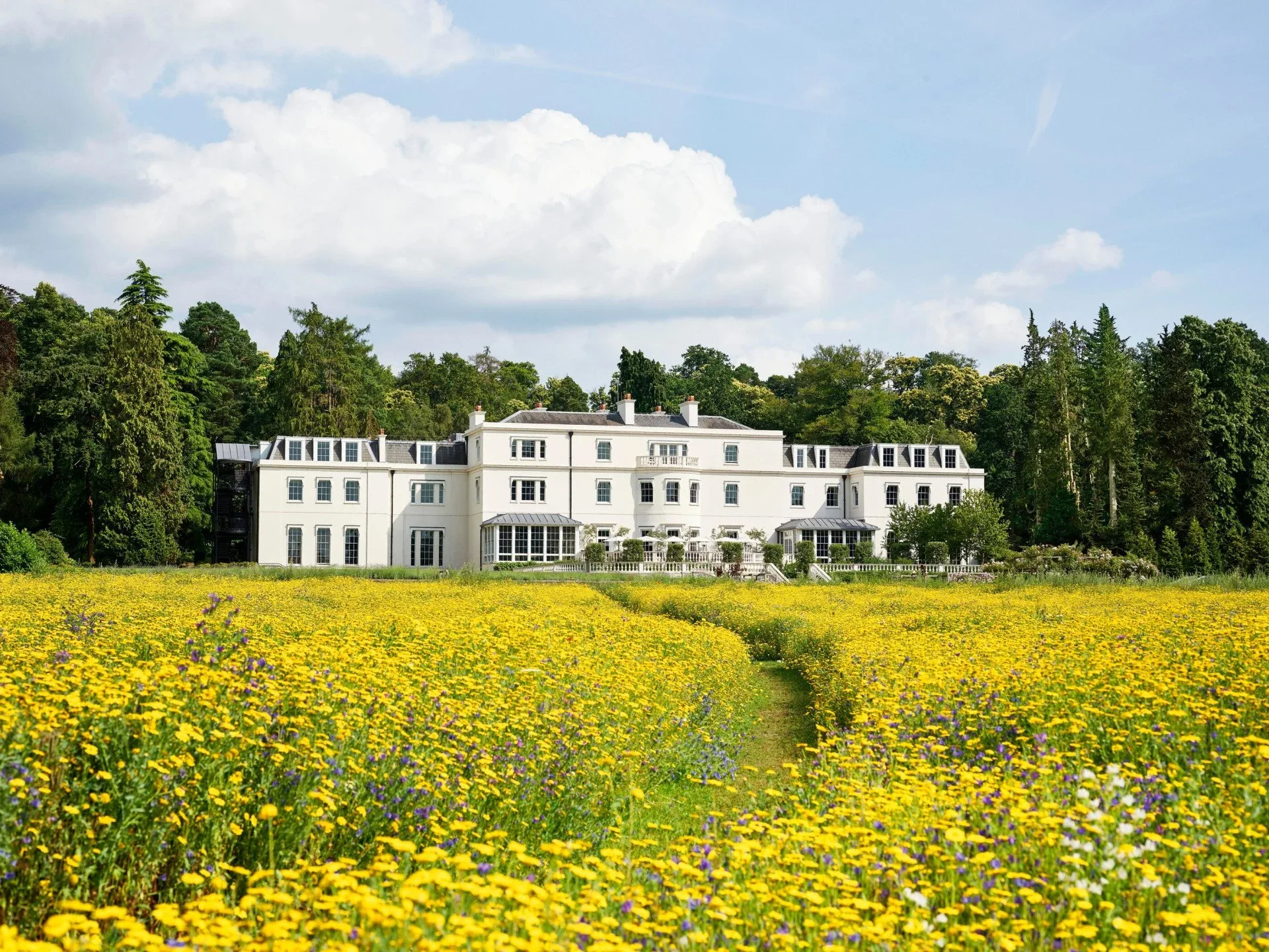 coworth-park-meadow-exterior-highres (1).webp