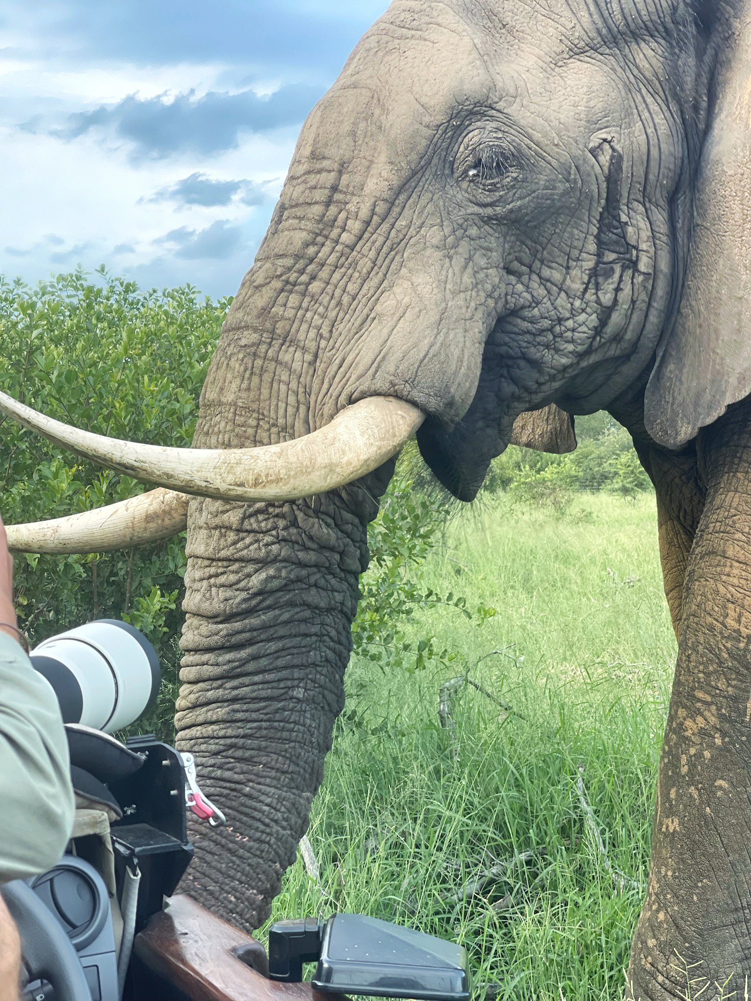 Taking the Kids to Africa: The Luxury Family Safari Guide