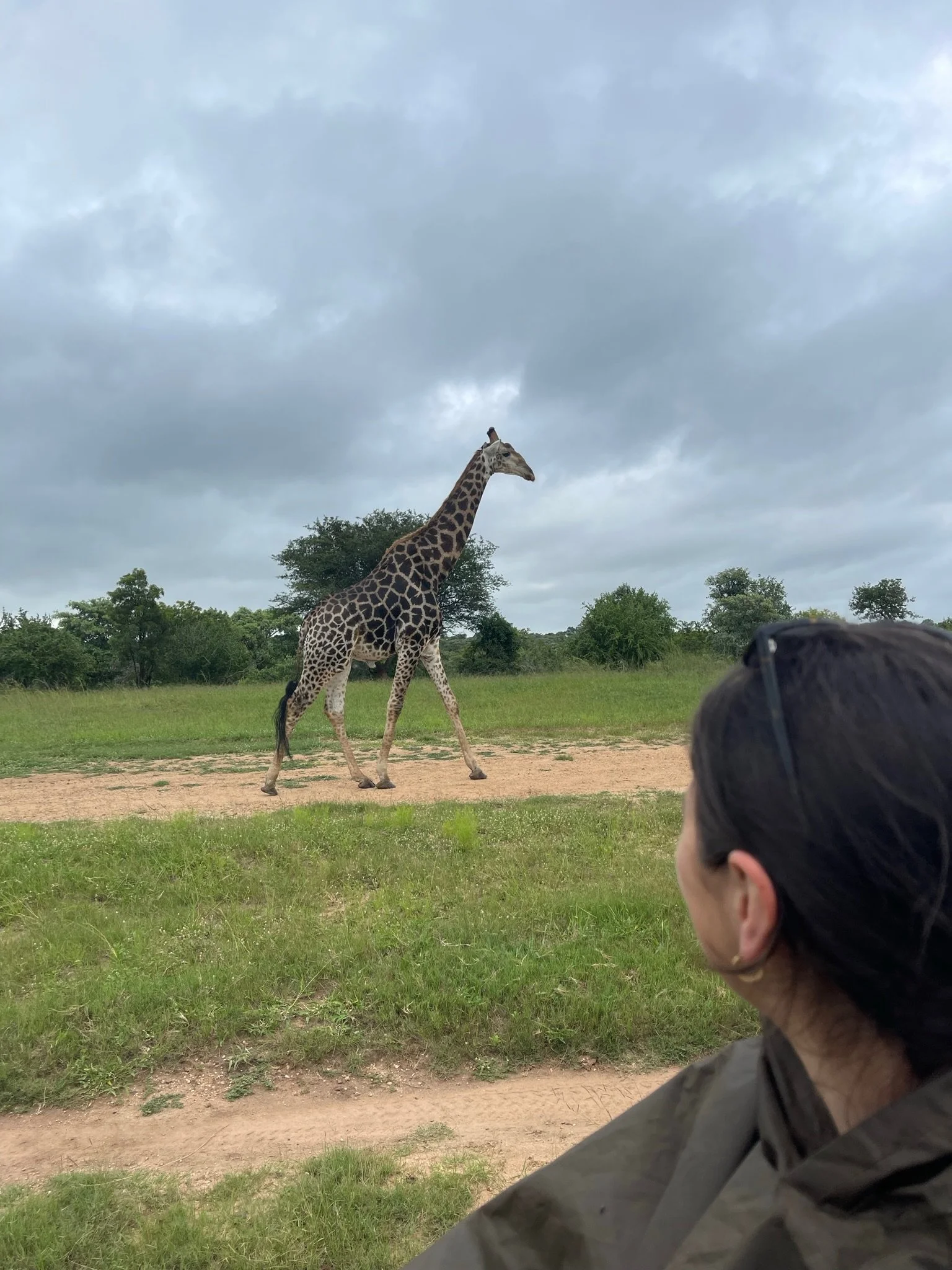 IMG_8304.jpeg