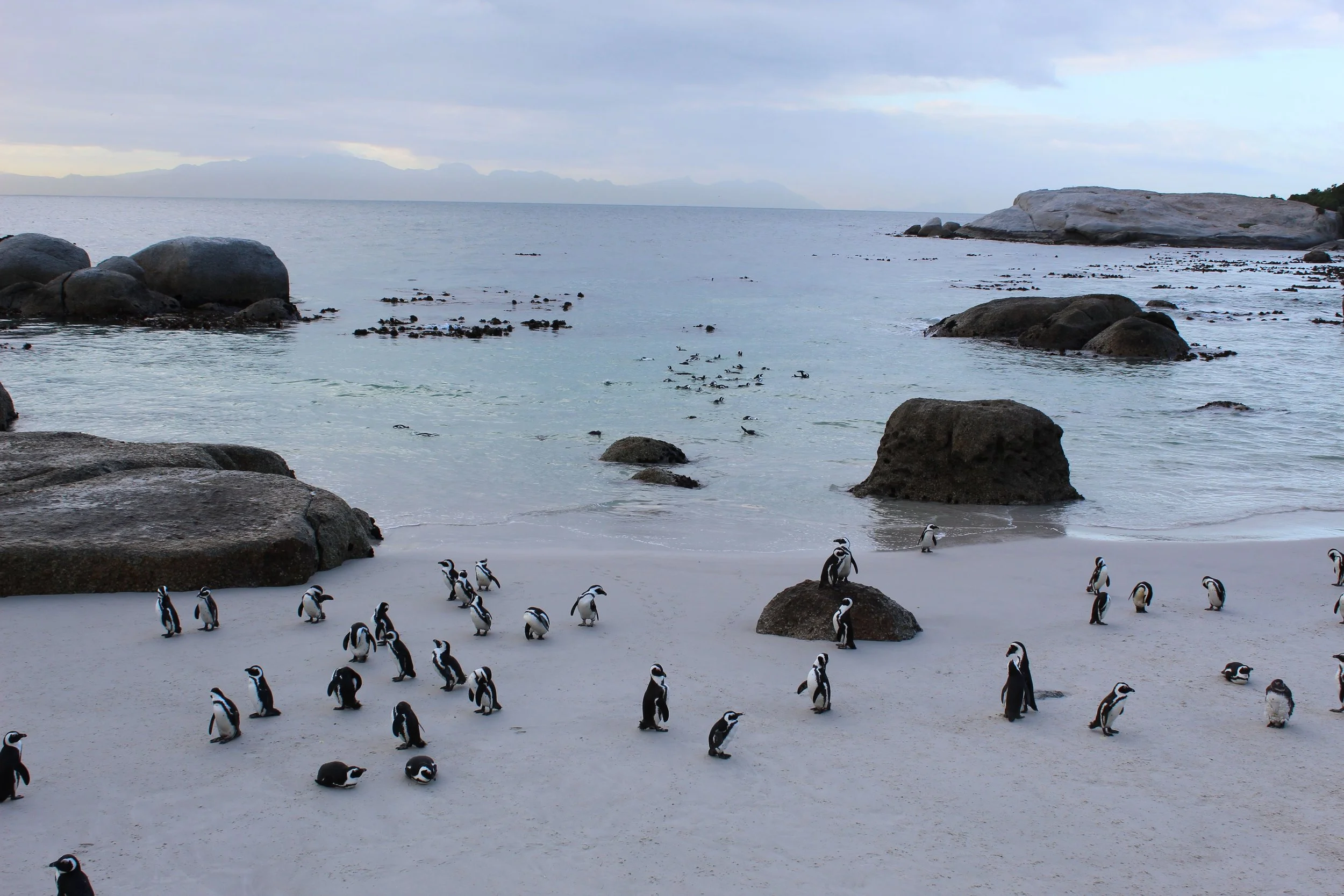 CapeTown2.jpg