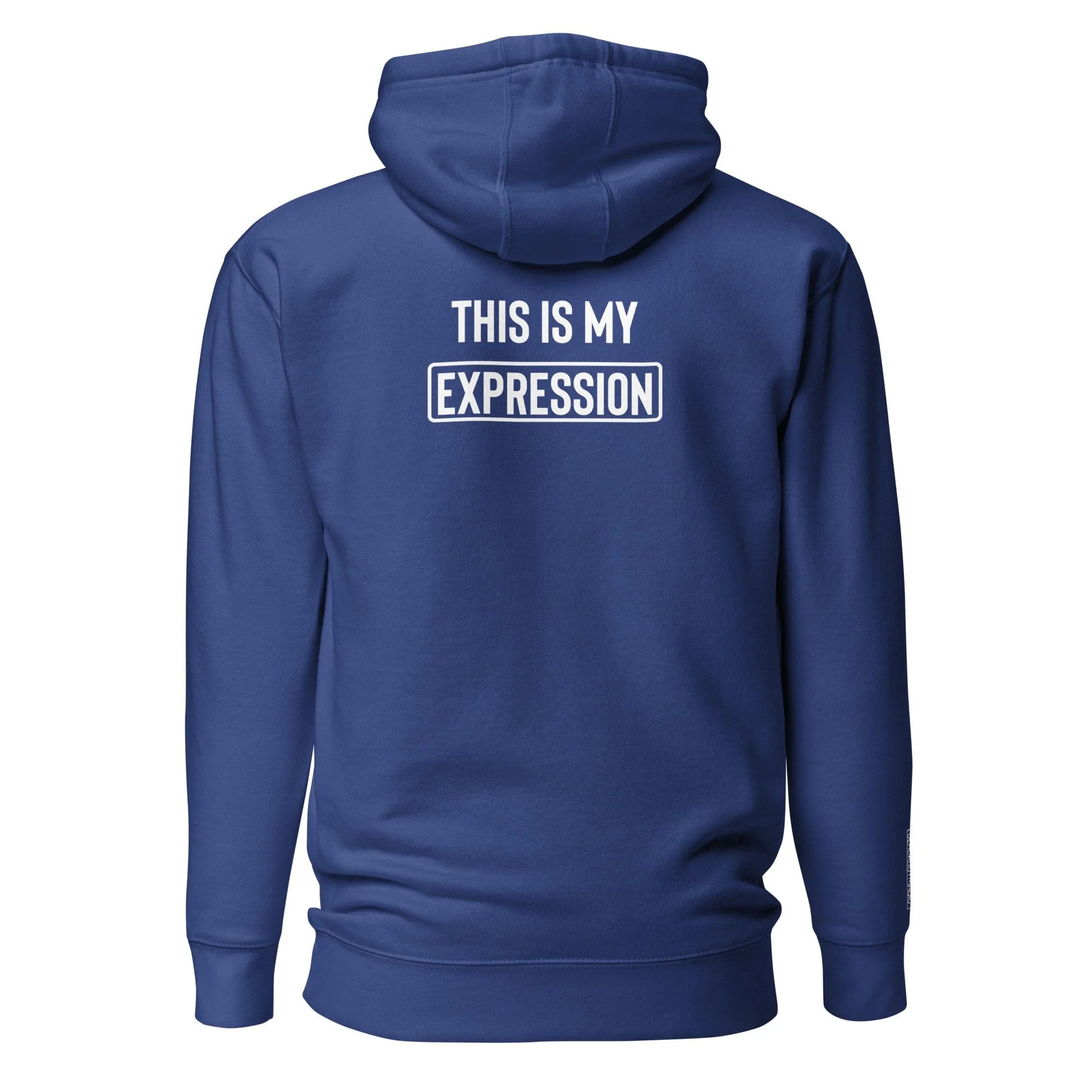 unisex-premium-hoodie-team-royal-back-63b5104818cc0.jpg