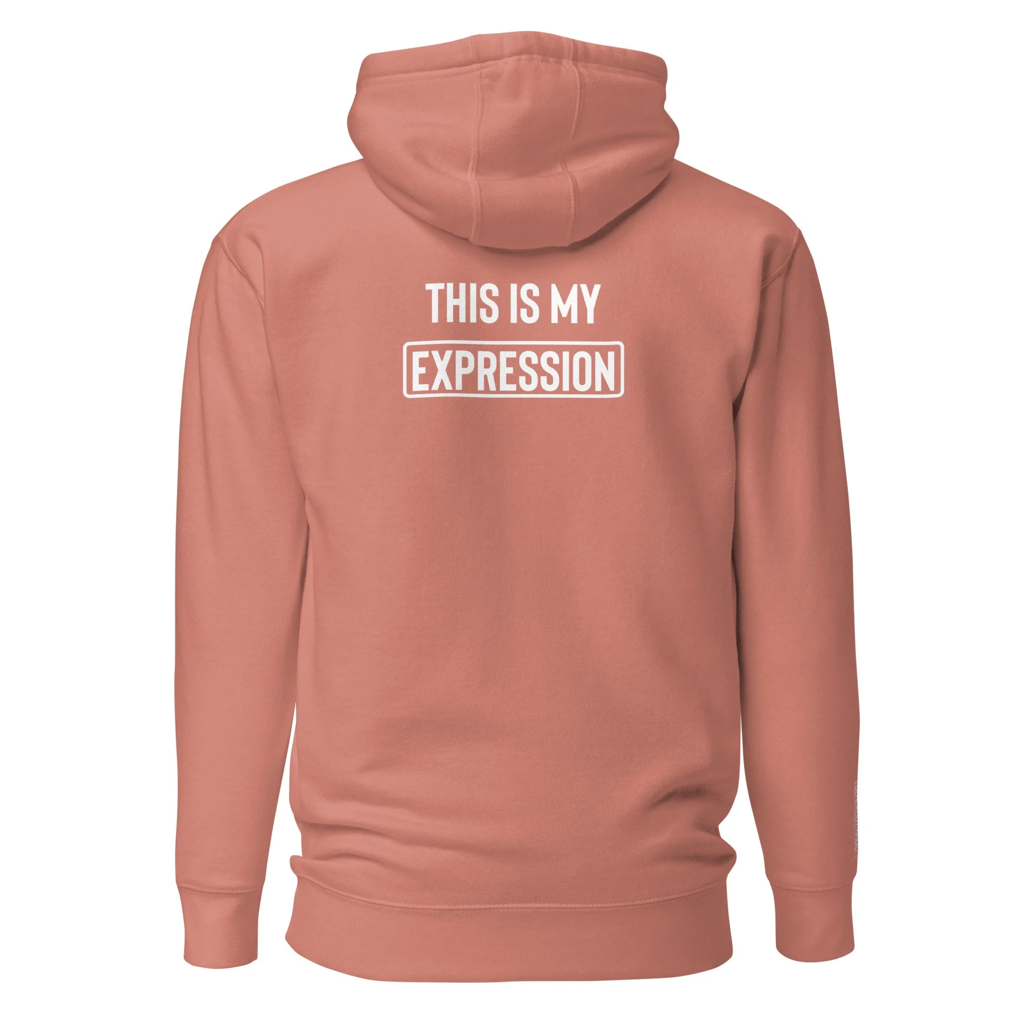 unisex-premium-hoodie-dusty-rose-back-63b510481e900.jpg
