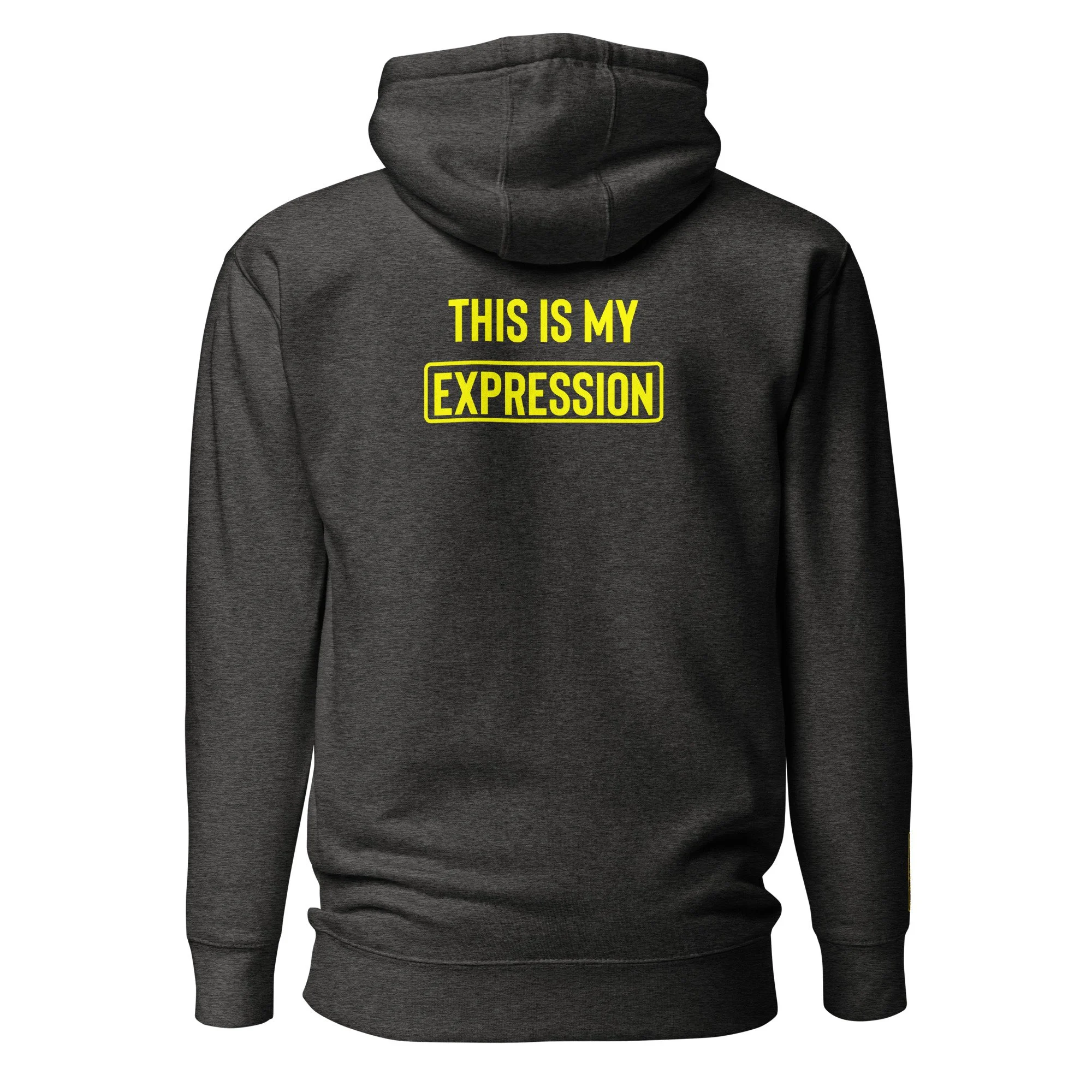 unisex-premium-hoodie-charcoal-heather-back-63b59cf85e43e.jpg