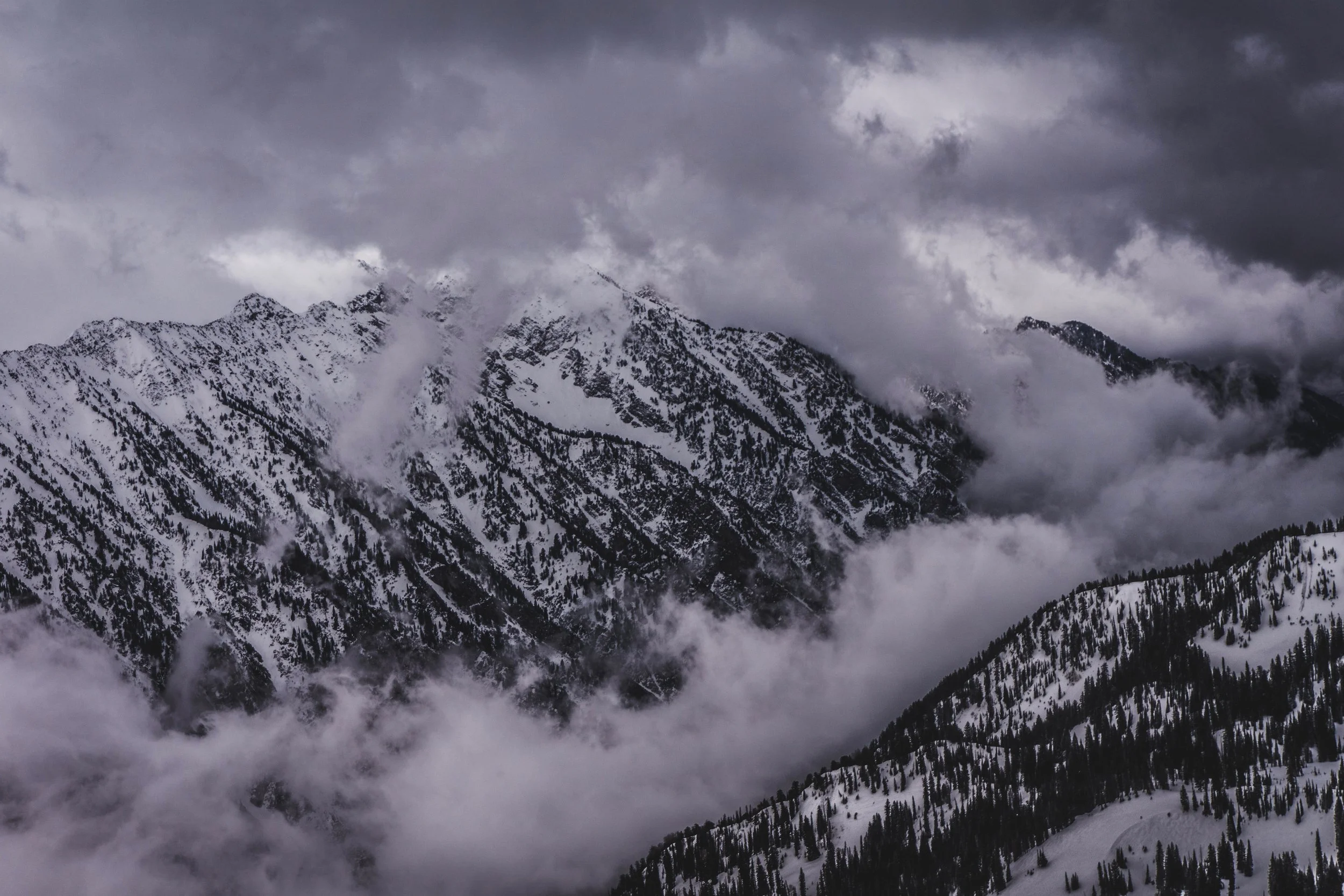 Resources — Powder House Ski Shop