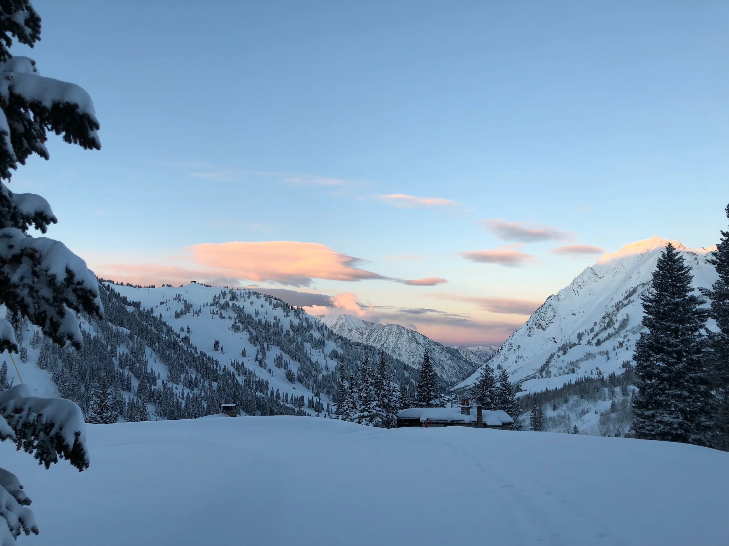 Equipment Tuning — Powder House Ski Shop