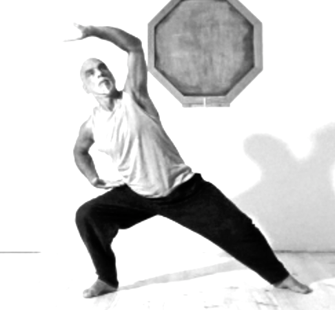 swallows return to nest from marrow washing classic