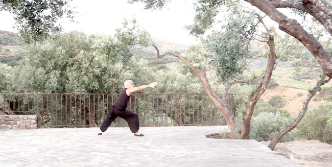 bagua mountain palm.png