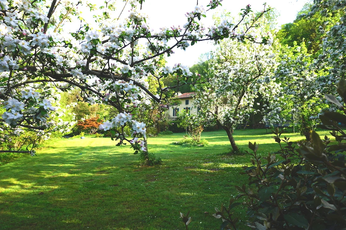house from english garden.jpg