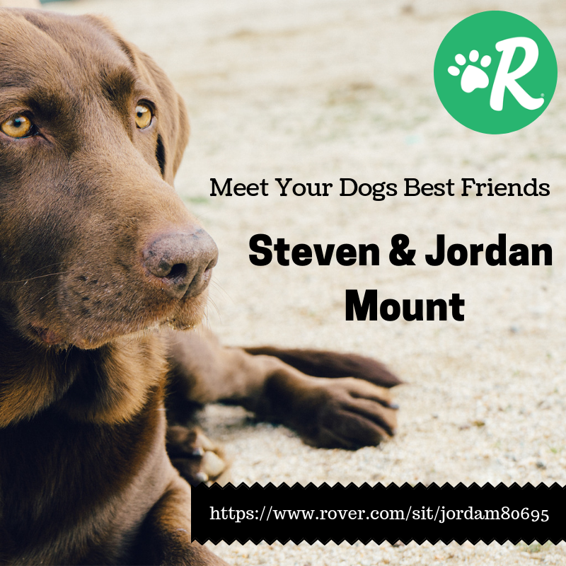 Meet your dogs best friend.png