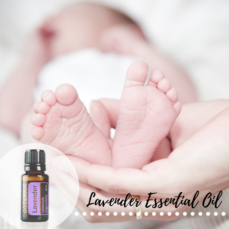Lavender Essential Oil.png