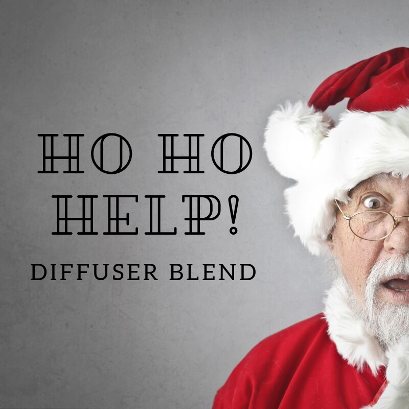 Ho Ho HELP! (1).png
