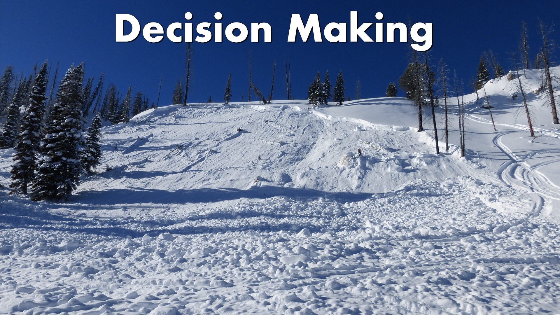 Decision Making Slider.jpg