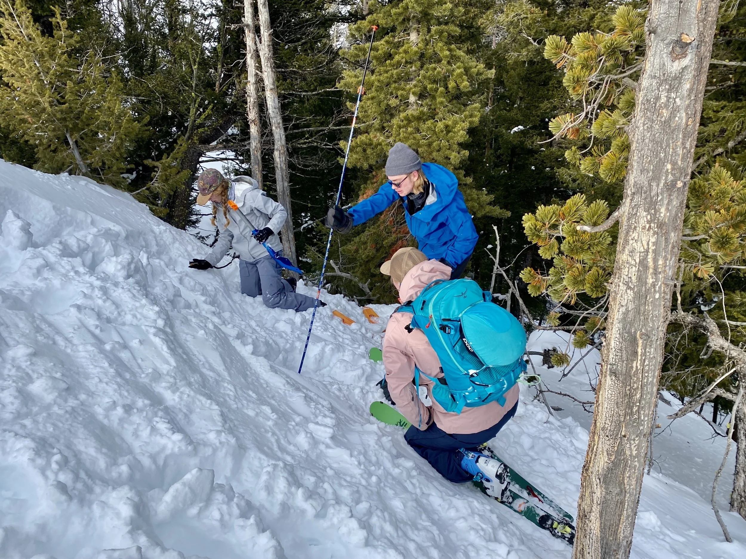 Non-Motorized Avalanche       Level 1 