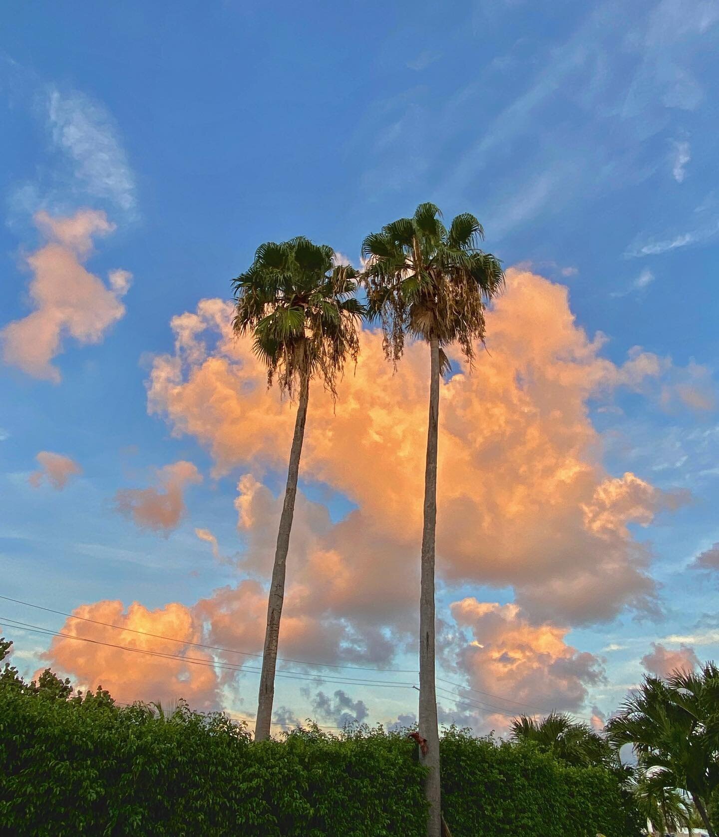 .
What a special place.

Happy weekending.

🛩AR

#keywestlocal