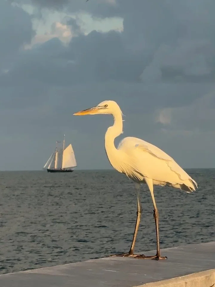 Today I feel like&mdash;

-A luscious wizard (obvious),
quietly murmuring abracadabra-like phrases while rainbows are shooting out of me because my aura is a solid dichroic glass dodecahedron, spinning in rhythm to a spicy hiphop beat. 

-The spirit 