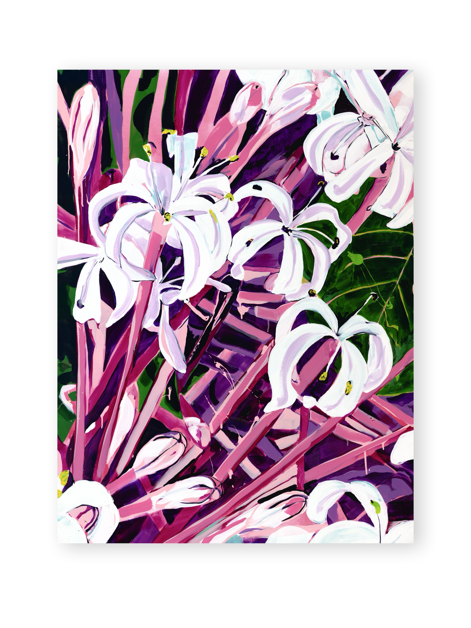 Starburst Bush - By Kelly Lever