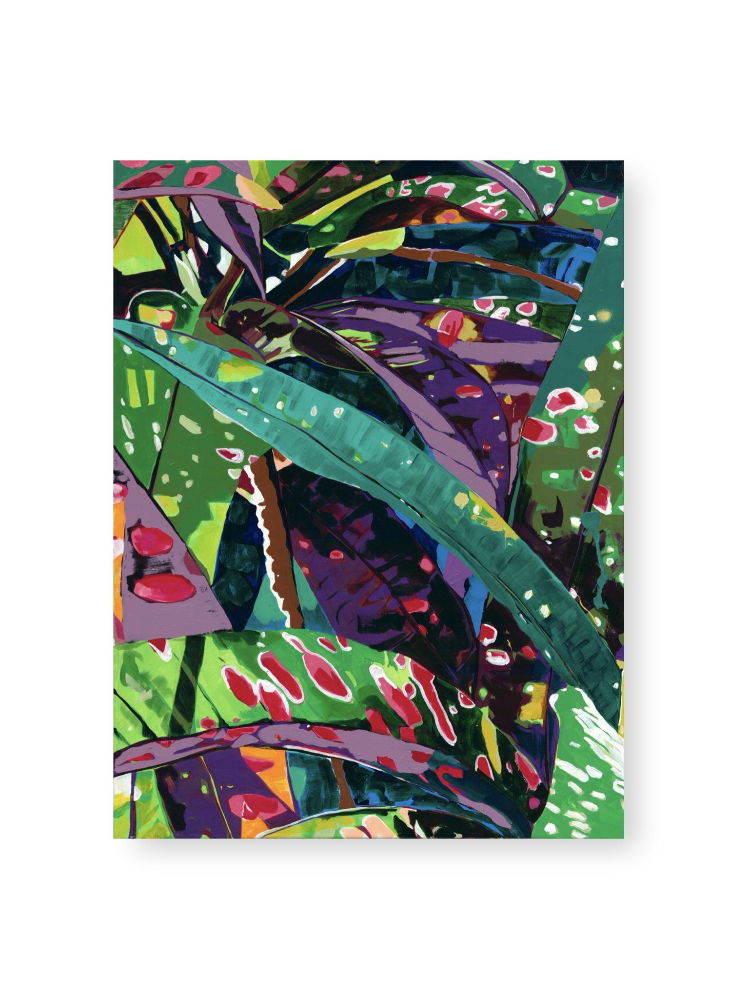 Croton In The Audubon Garden - By Kelly Lever