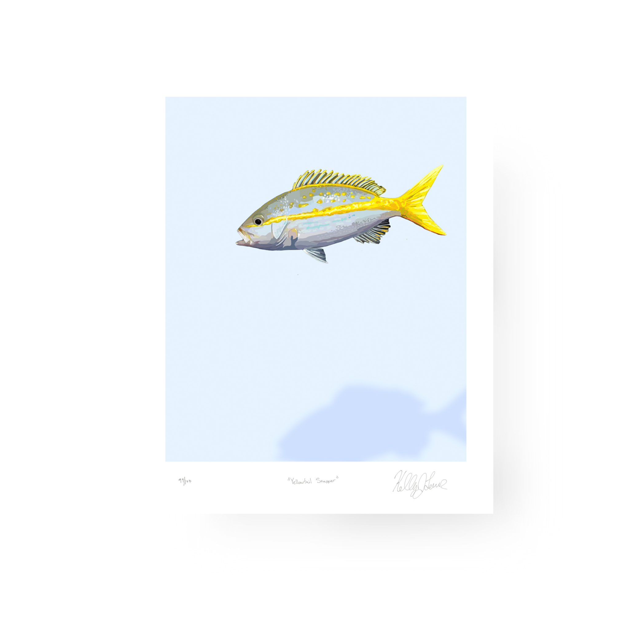"Yellowtail Snapper" Print