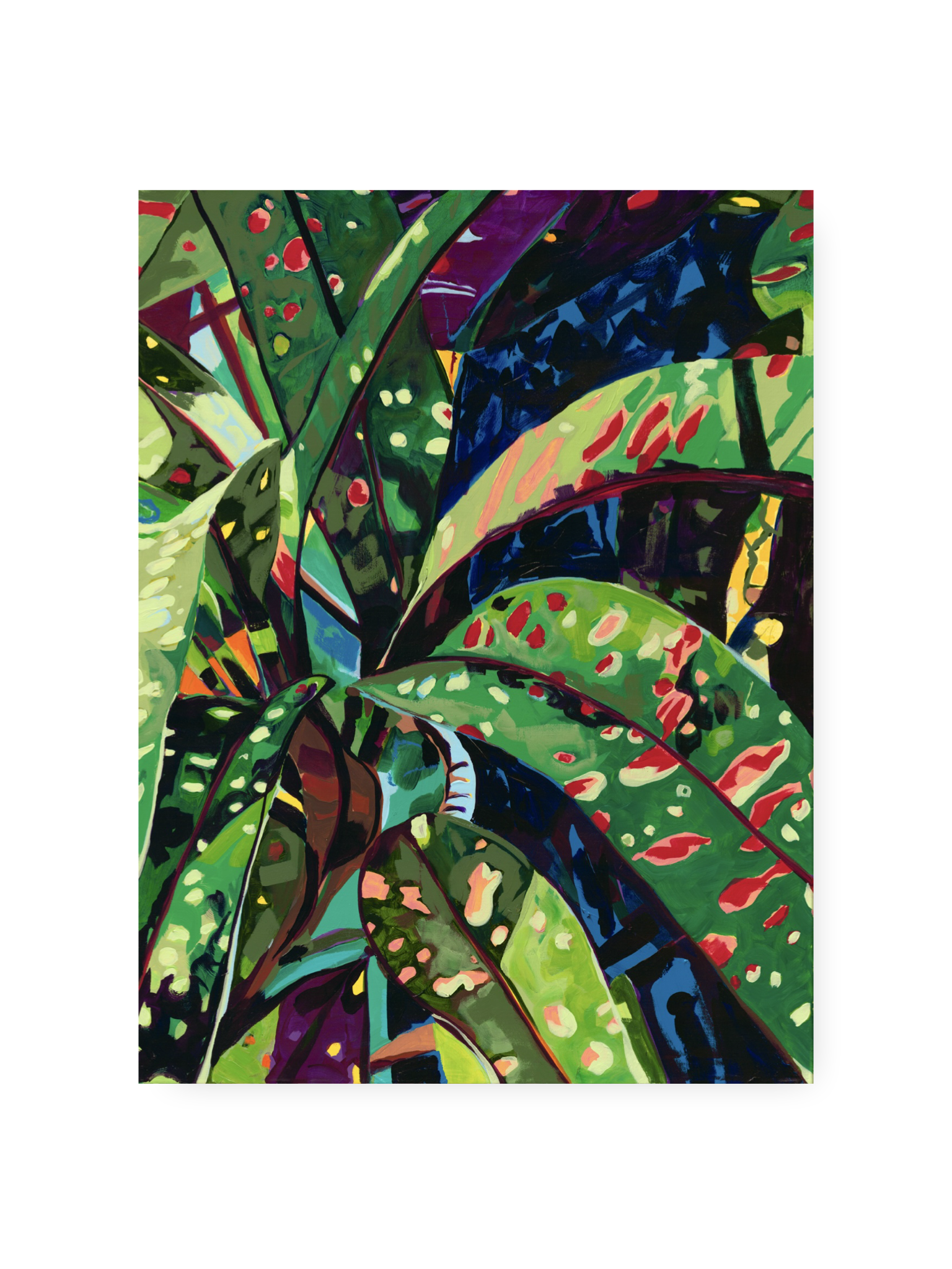 Croton In The Audubon Garden 2 - By Kelly Lever