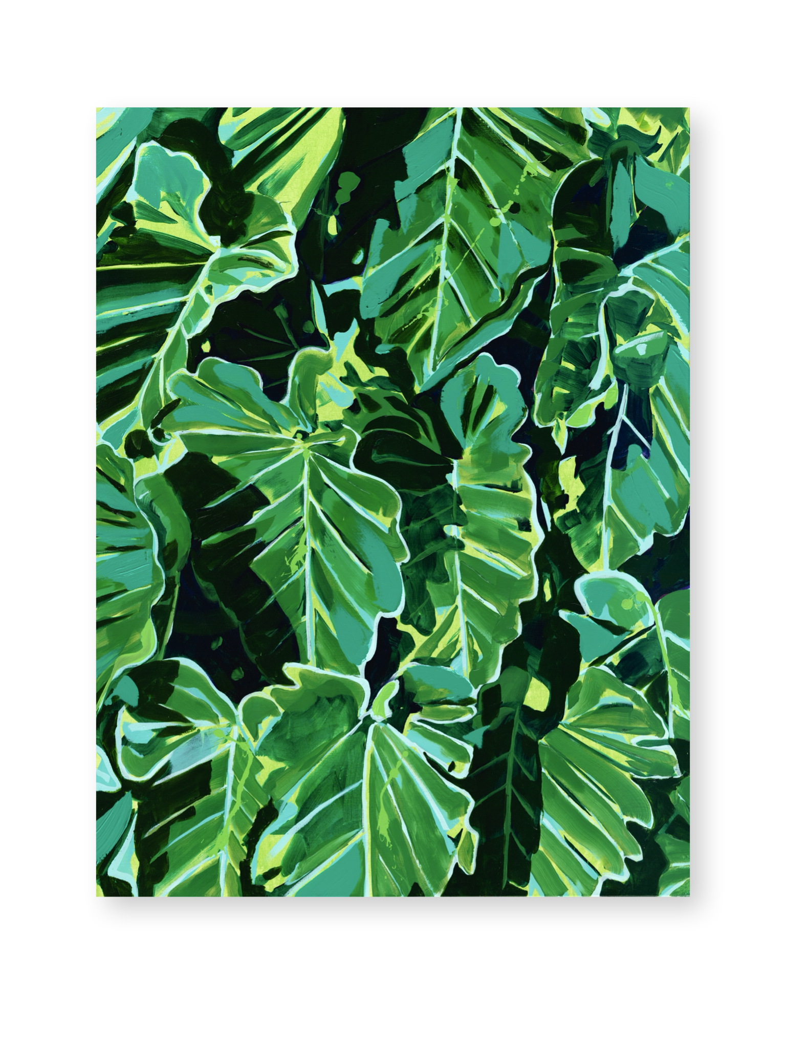 Philodendron Giganteum - By Kelly Lever