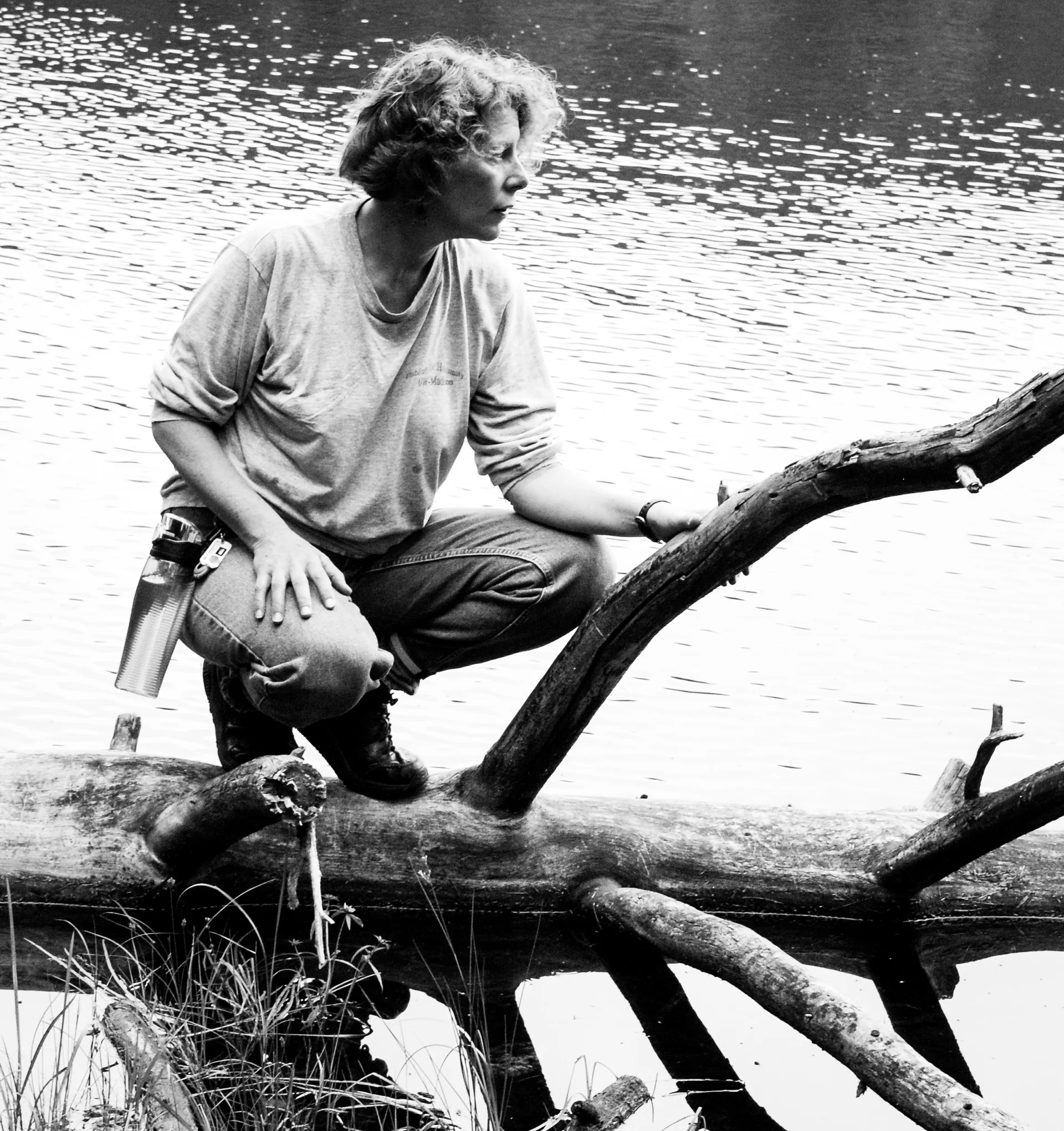 K.Steichen Rosing_Fallison Lake Log.jpg