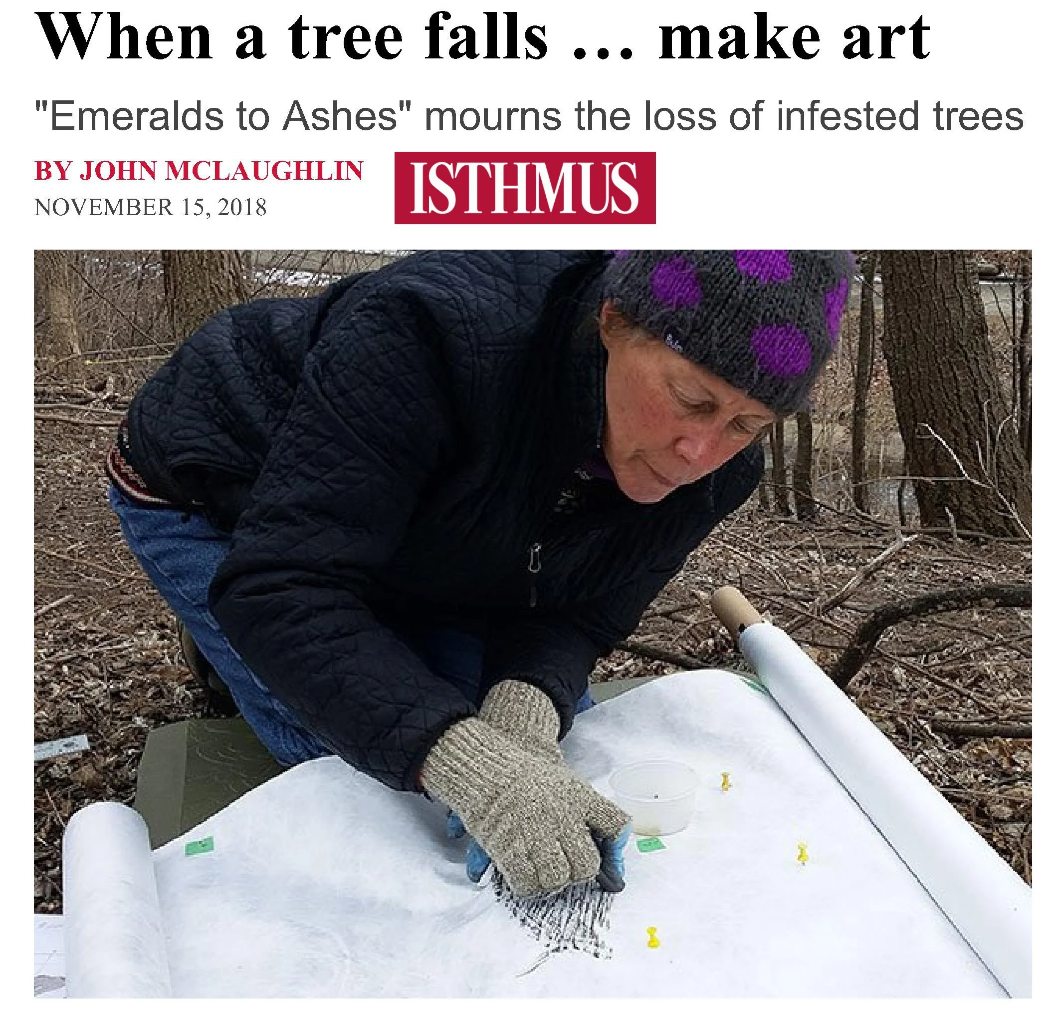 Exhibition Review in Isthmus 2018