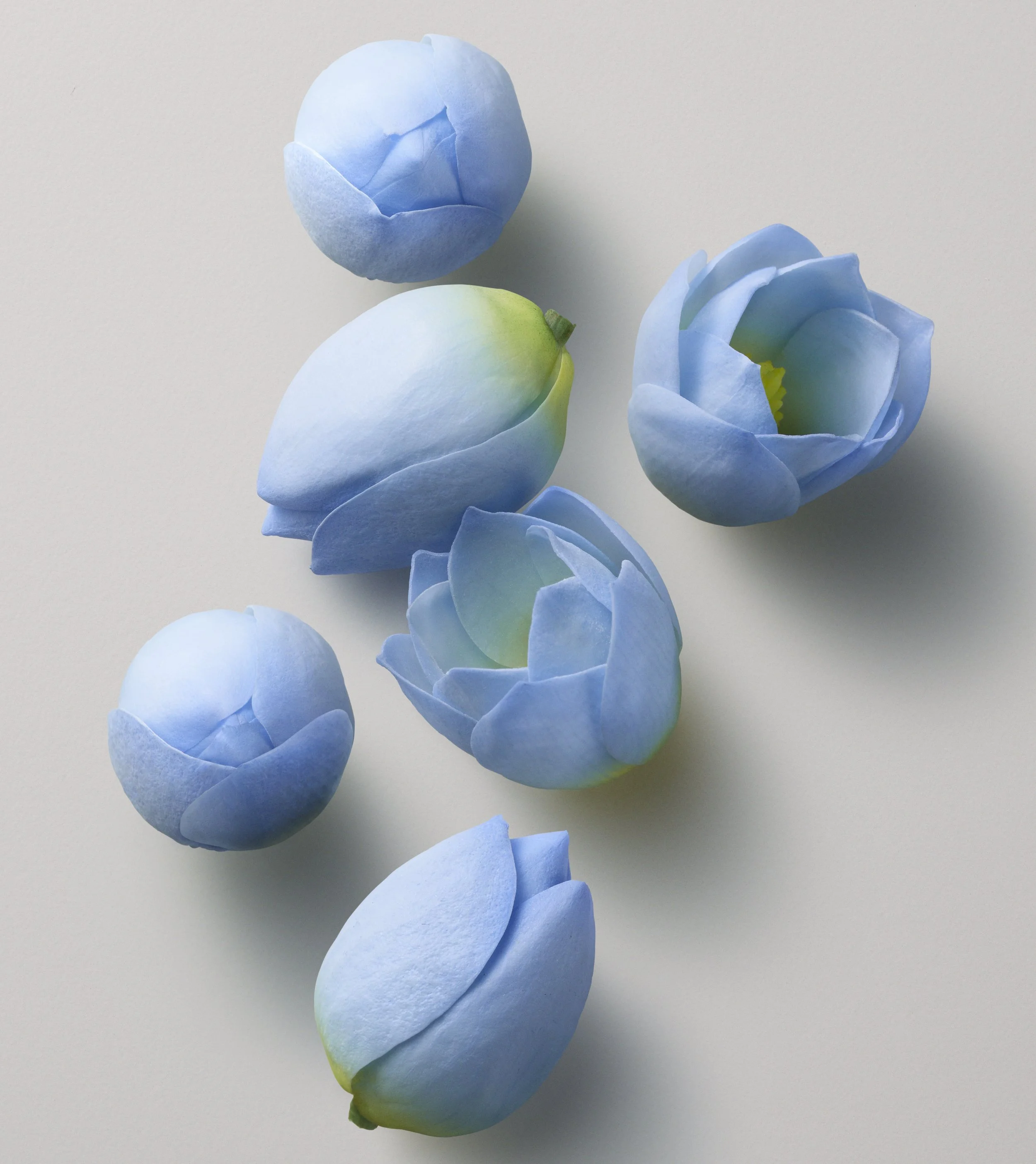 PRO00002921_KERASILK_PACKS_S63_F1C.jpg
