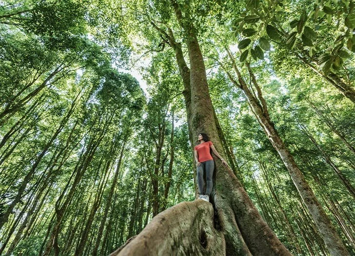 Understanding Stress