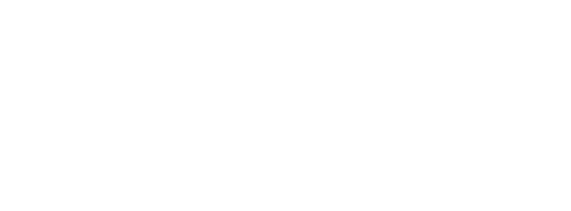 Soldier | Saint | Steward LLC
