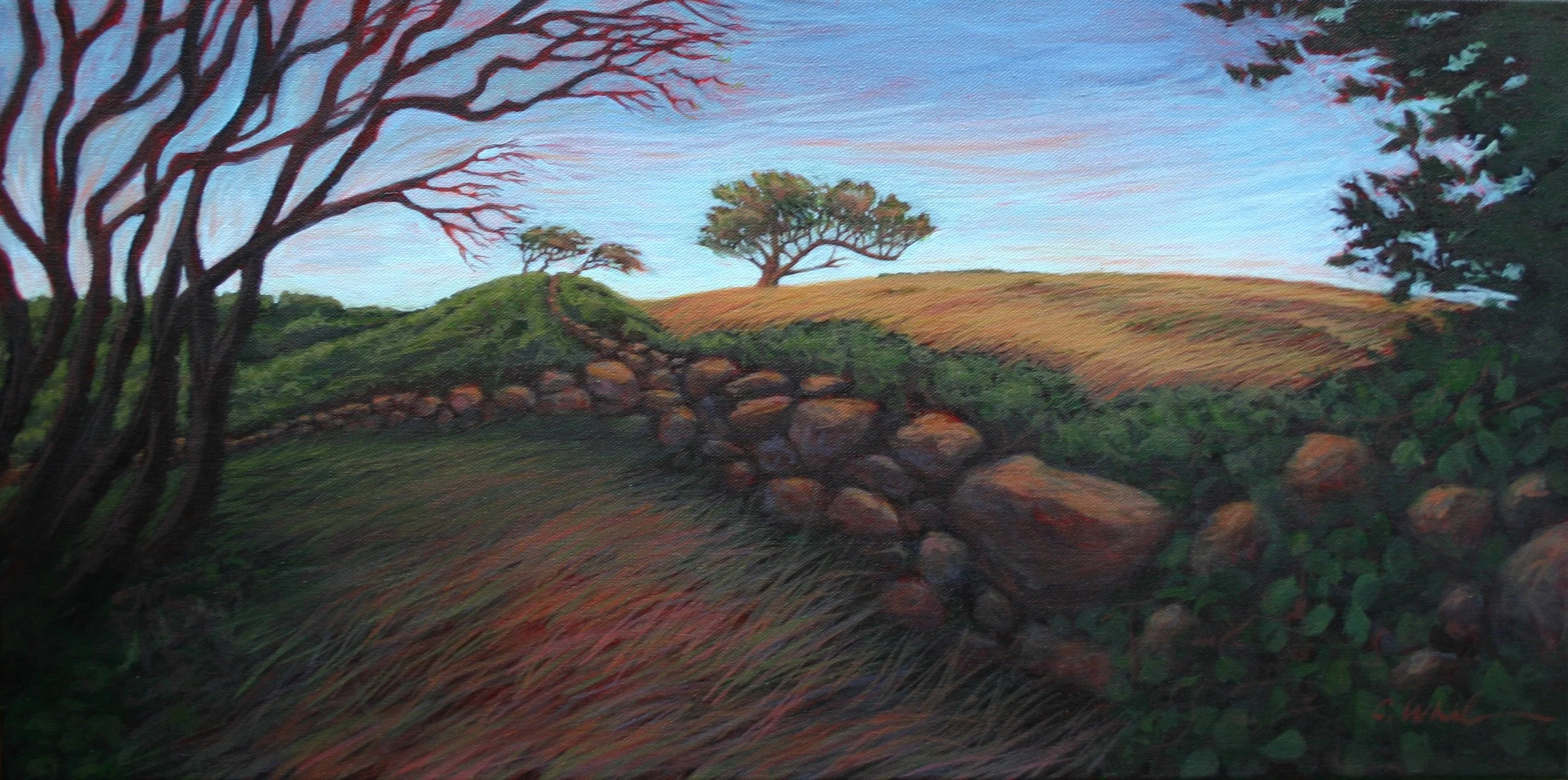 Rodman's Hollow Stone Wall.JPG