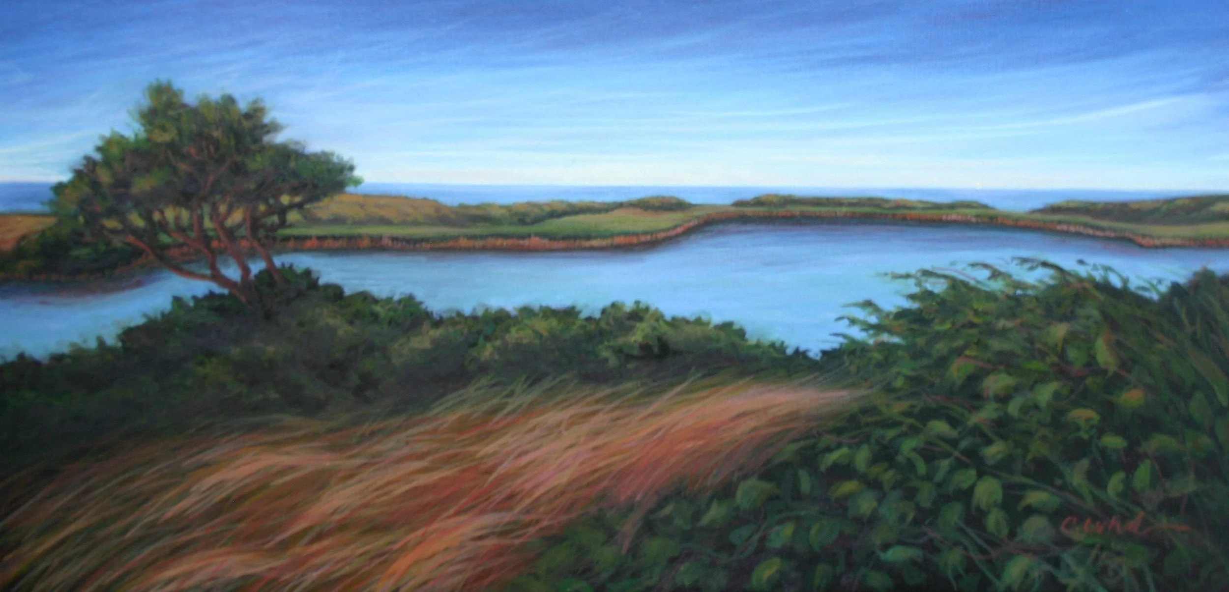 Spring House Ovelook.JPG