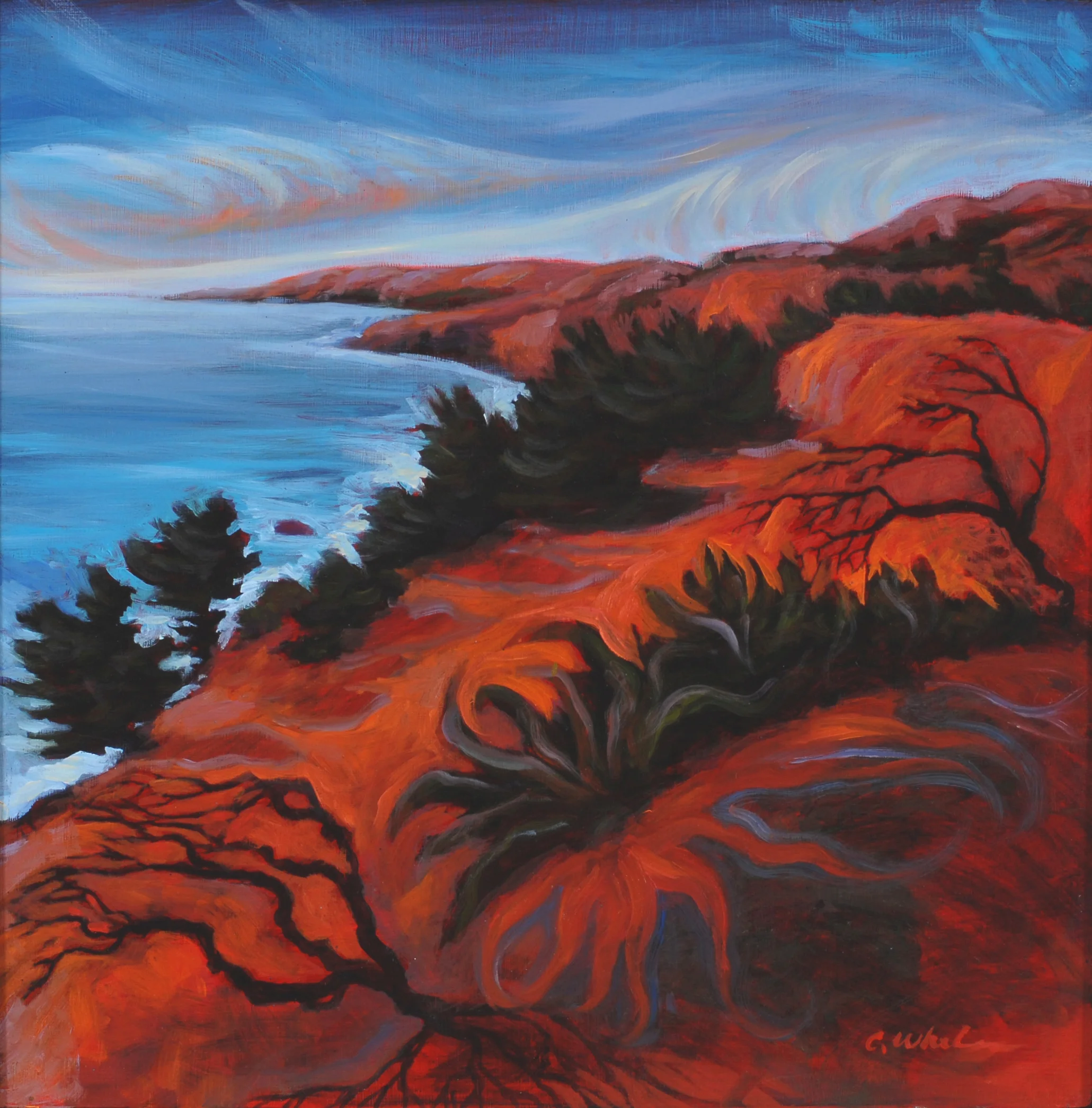 Swaying Branches.JPG