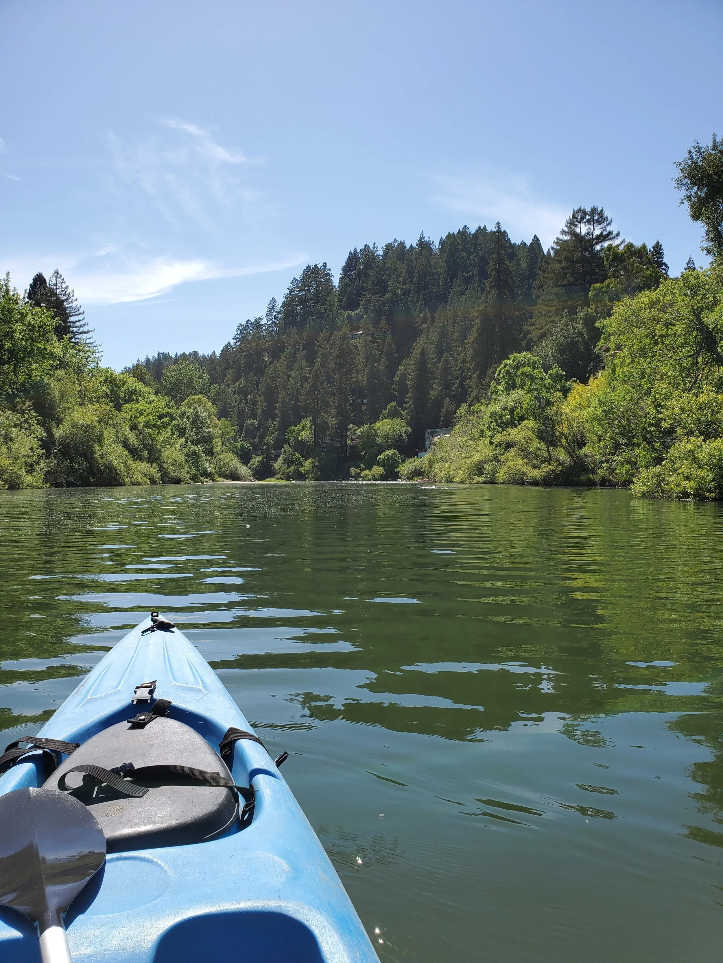 Taxi Services, Food Delivery and River Rentals, Kayaks, Tubes