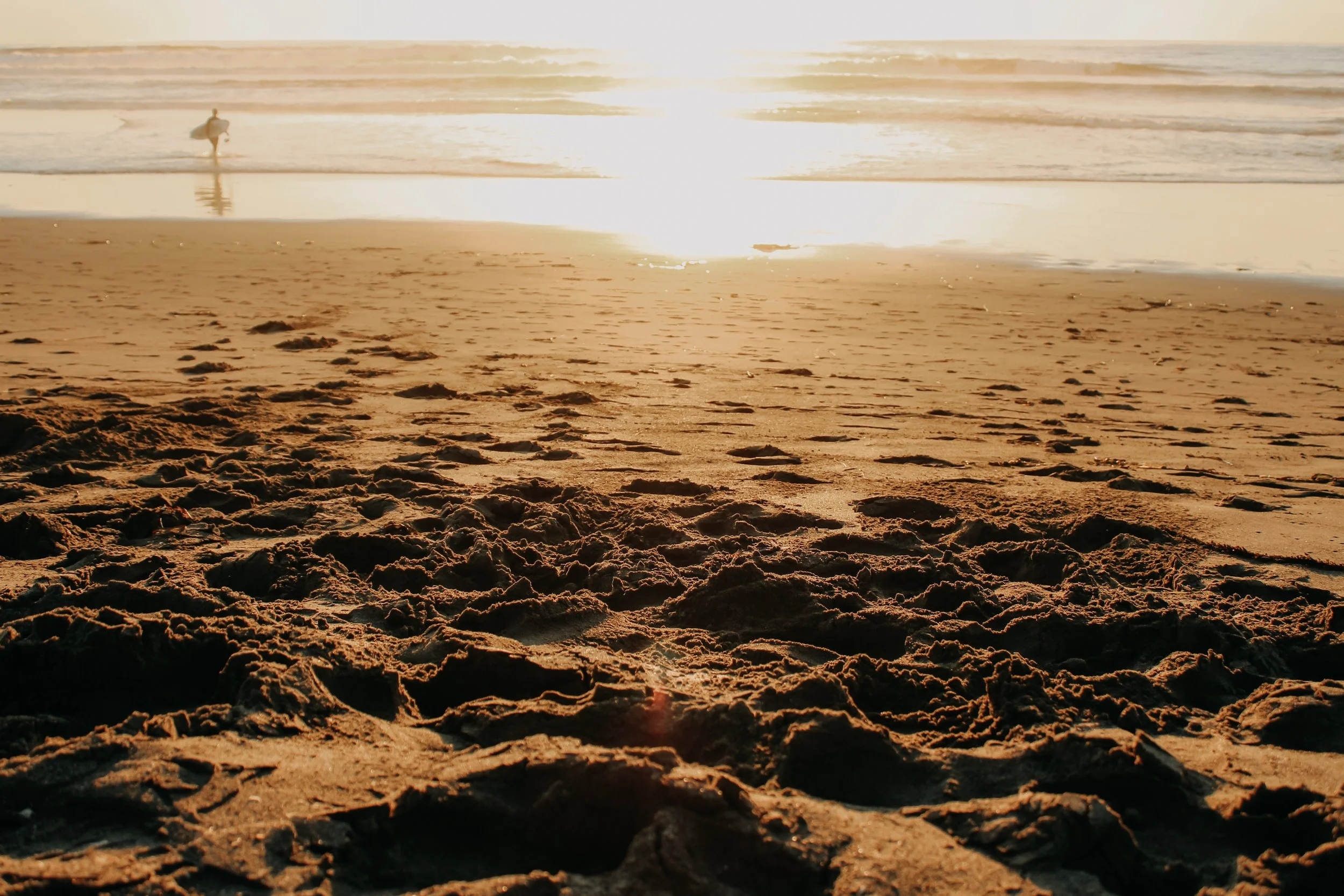 BODEGA BAY, CA