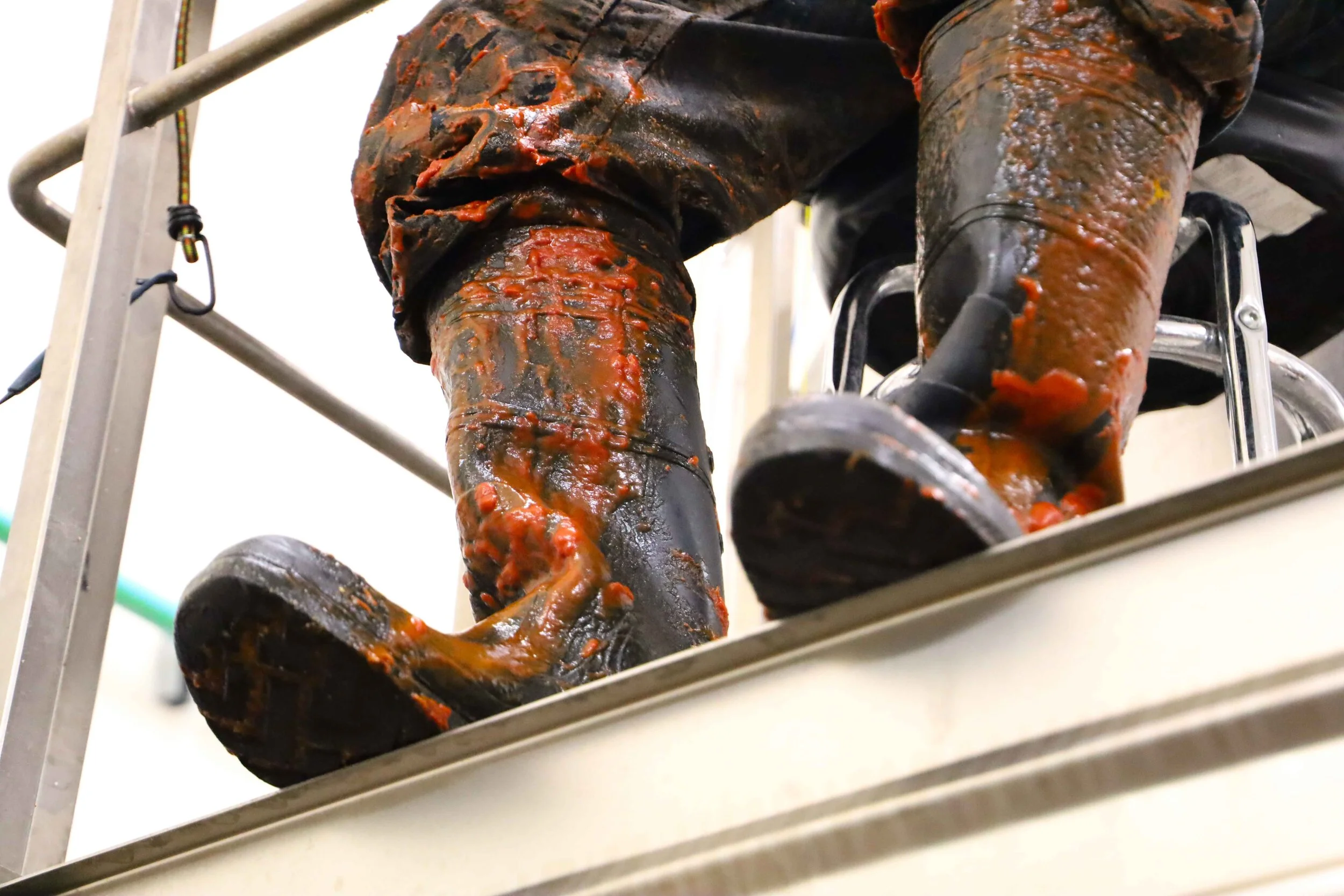 MICHELADA &amp; BLACKBERRY SOURS 
