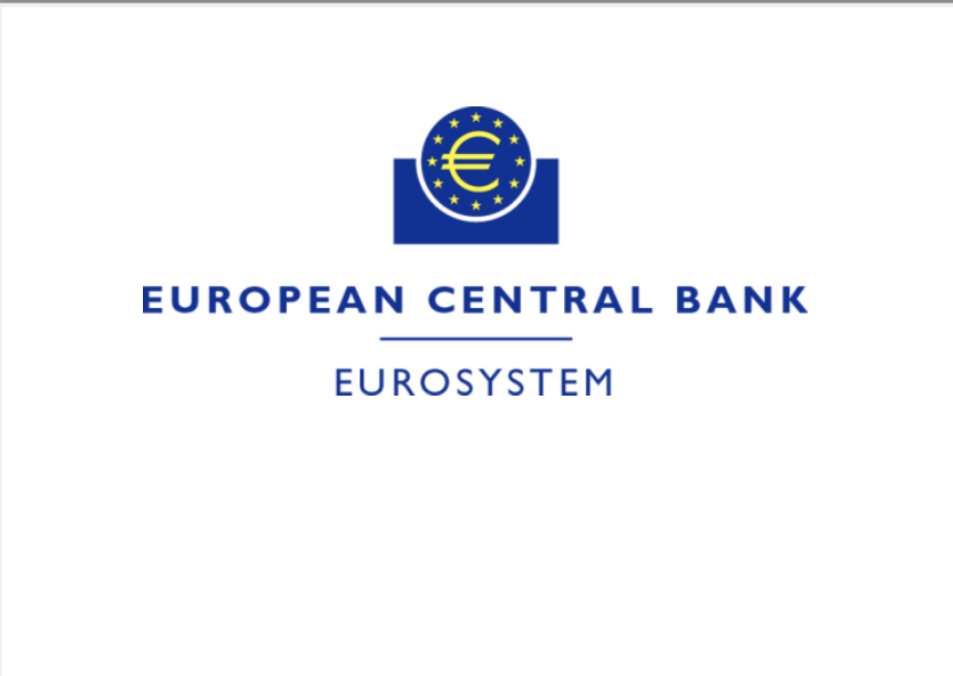 Partner Lecture: A Primer on International Financial Statistics