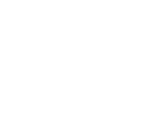 ONE LIC