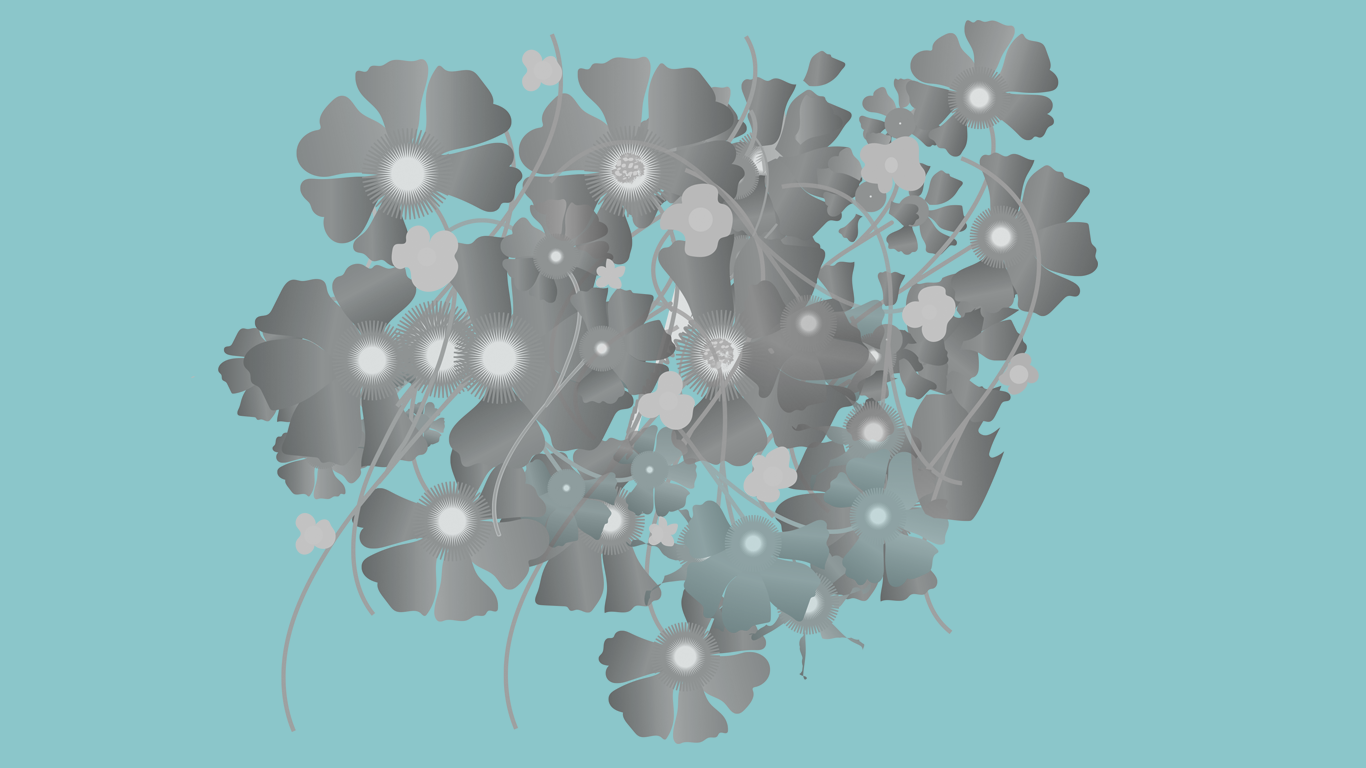 WildFlower Black&White.png
